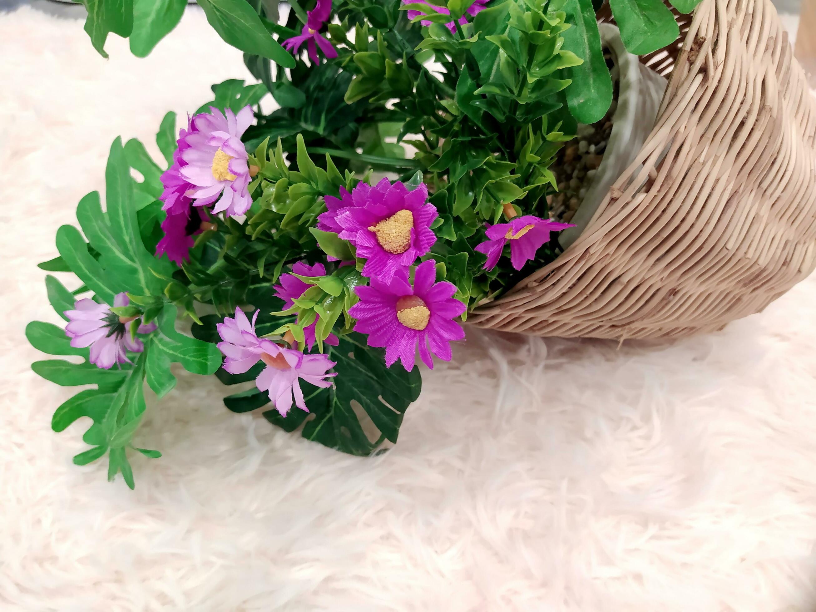 Close-up of artificial flowers on a light-colored carpet. Stock Free