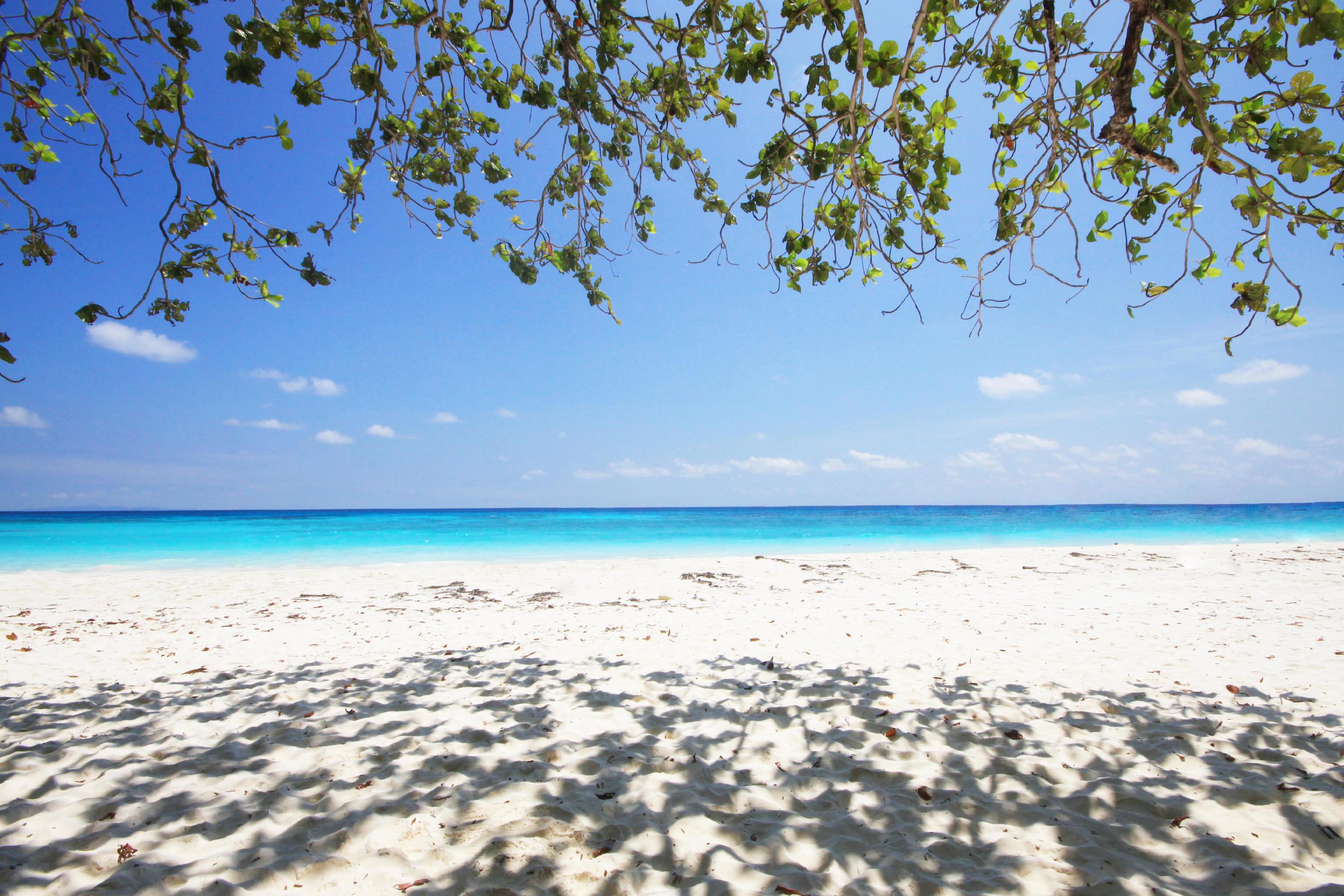 Beautiful summer of Horizon in heaven tropical seascape and branches on the blue sky. Paradise of turquoise water in calm ocean. Stock Free