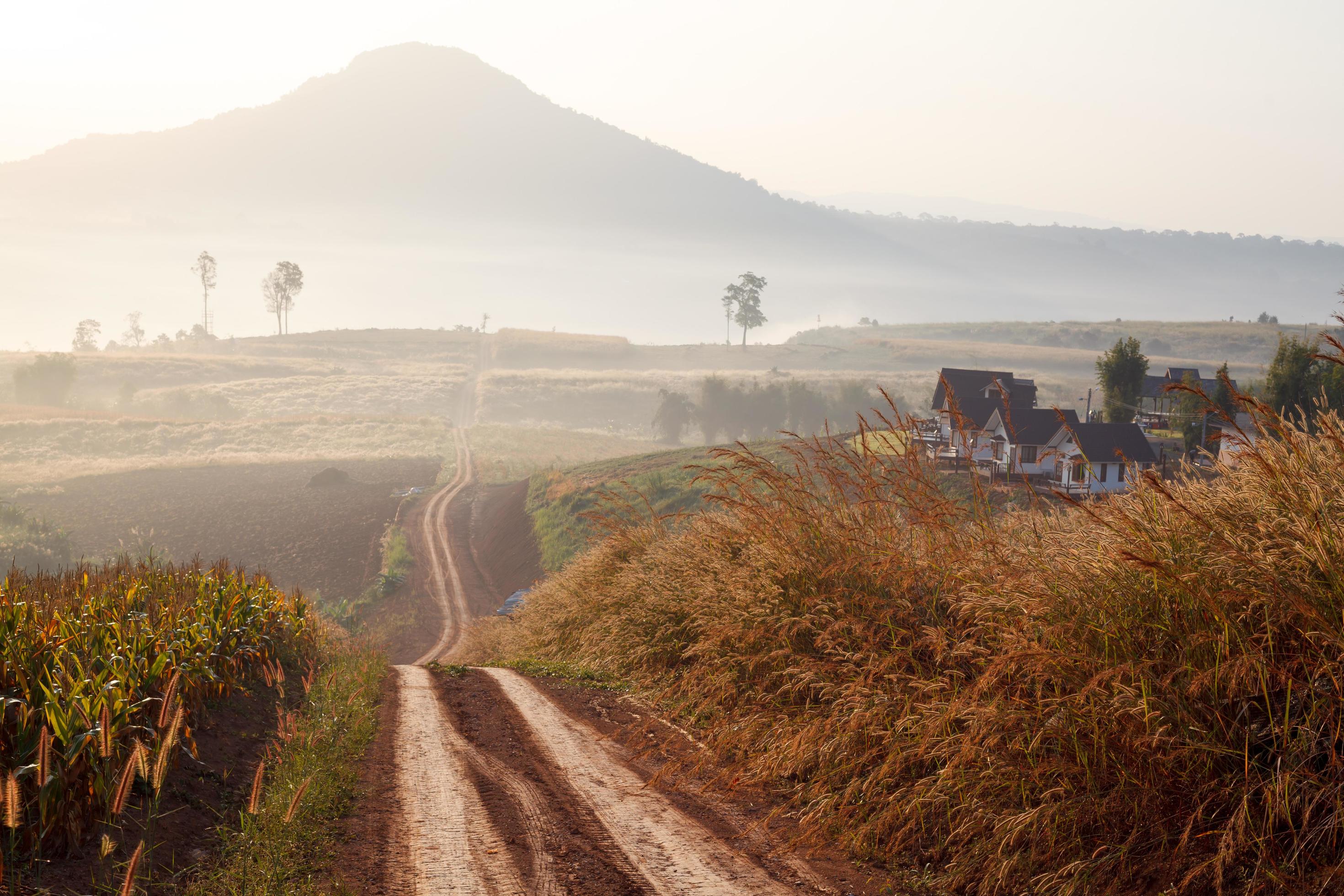 Dirt road leading through the early spring forest on a foggy morning at Khao Takhian Ngo View Point at Khao-kho Phetchabun,Thailand Stock Free