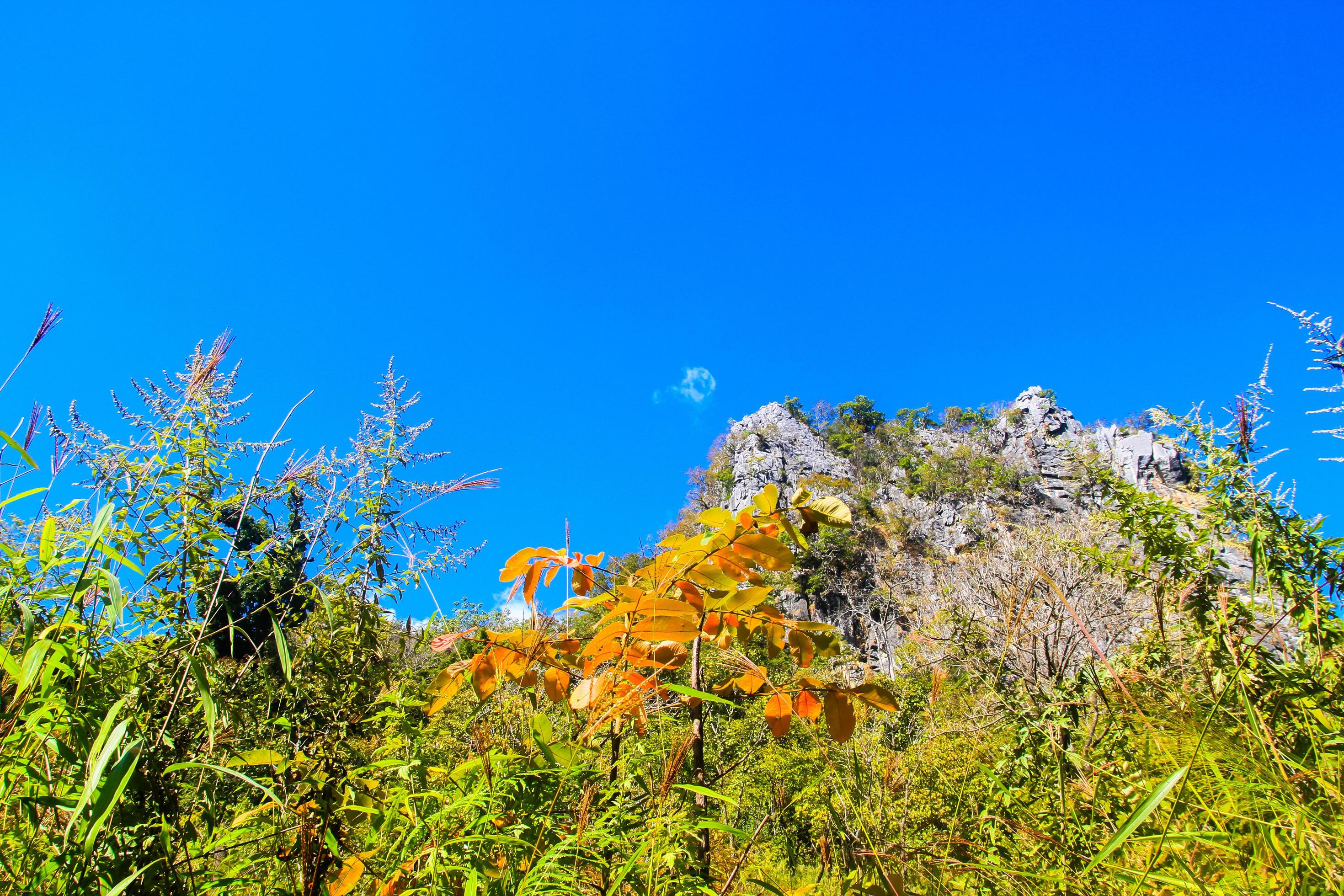 Beautiful Landscape of rocky Limestone Mountain and green forest with blu sky at Chiang doa national park in Chiangmai, Thailand Stock Free