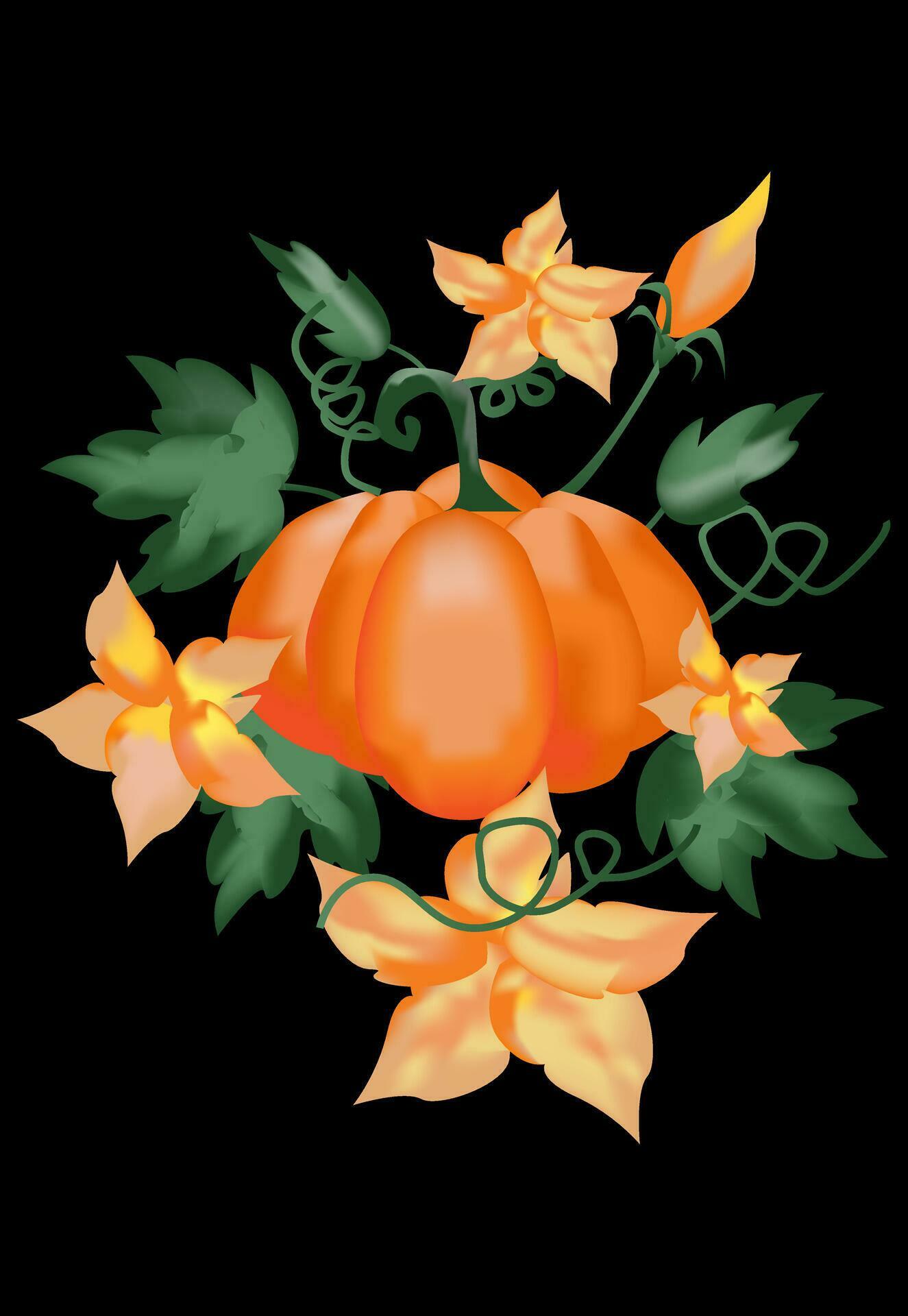 Pumpkin and Flowers Vector Illustration Stock Free