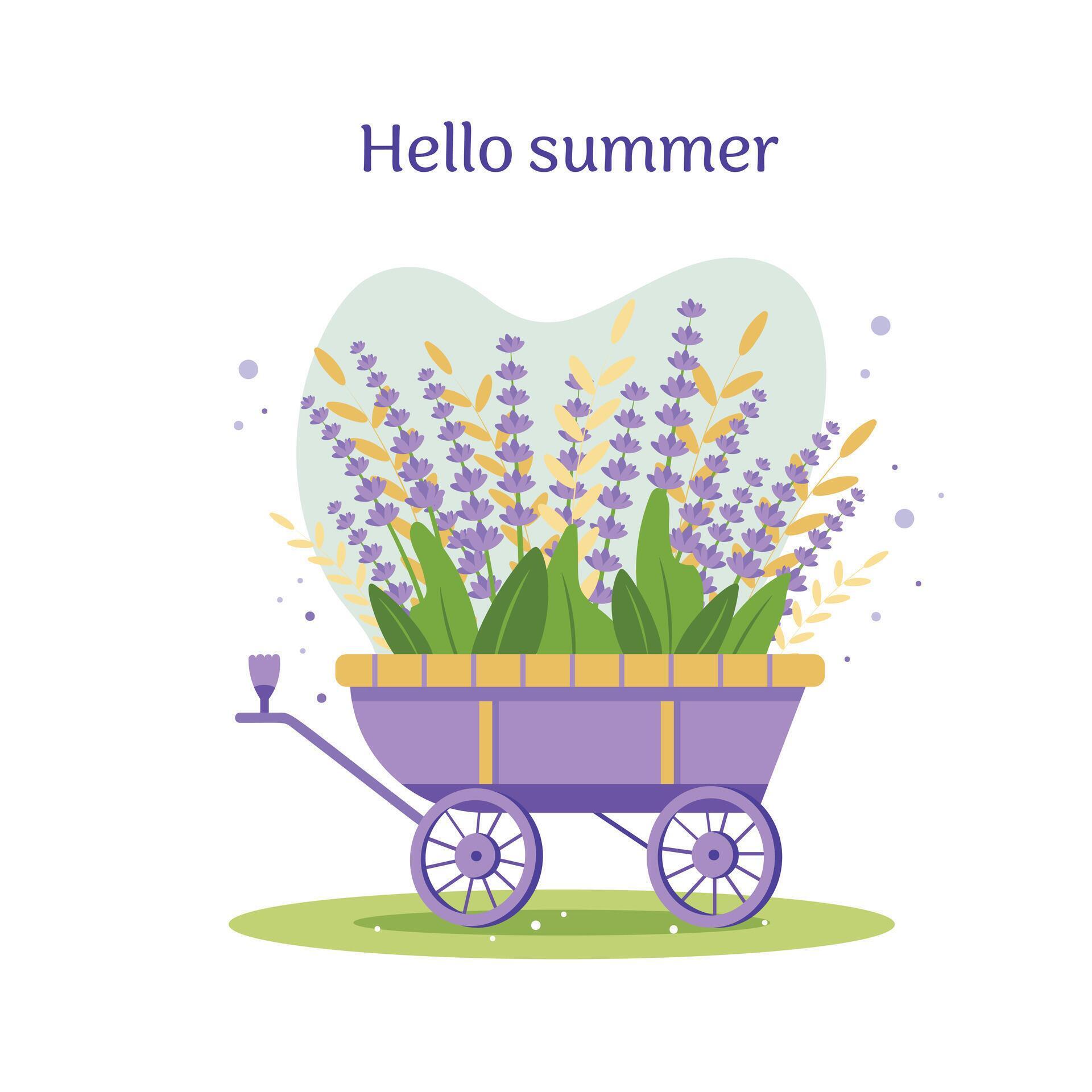 Cart with lavender flowers Stock Free