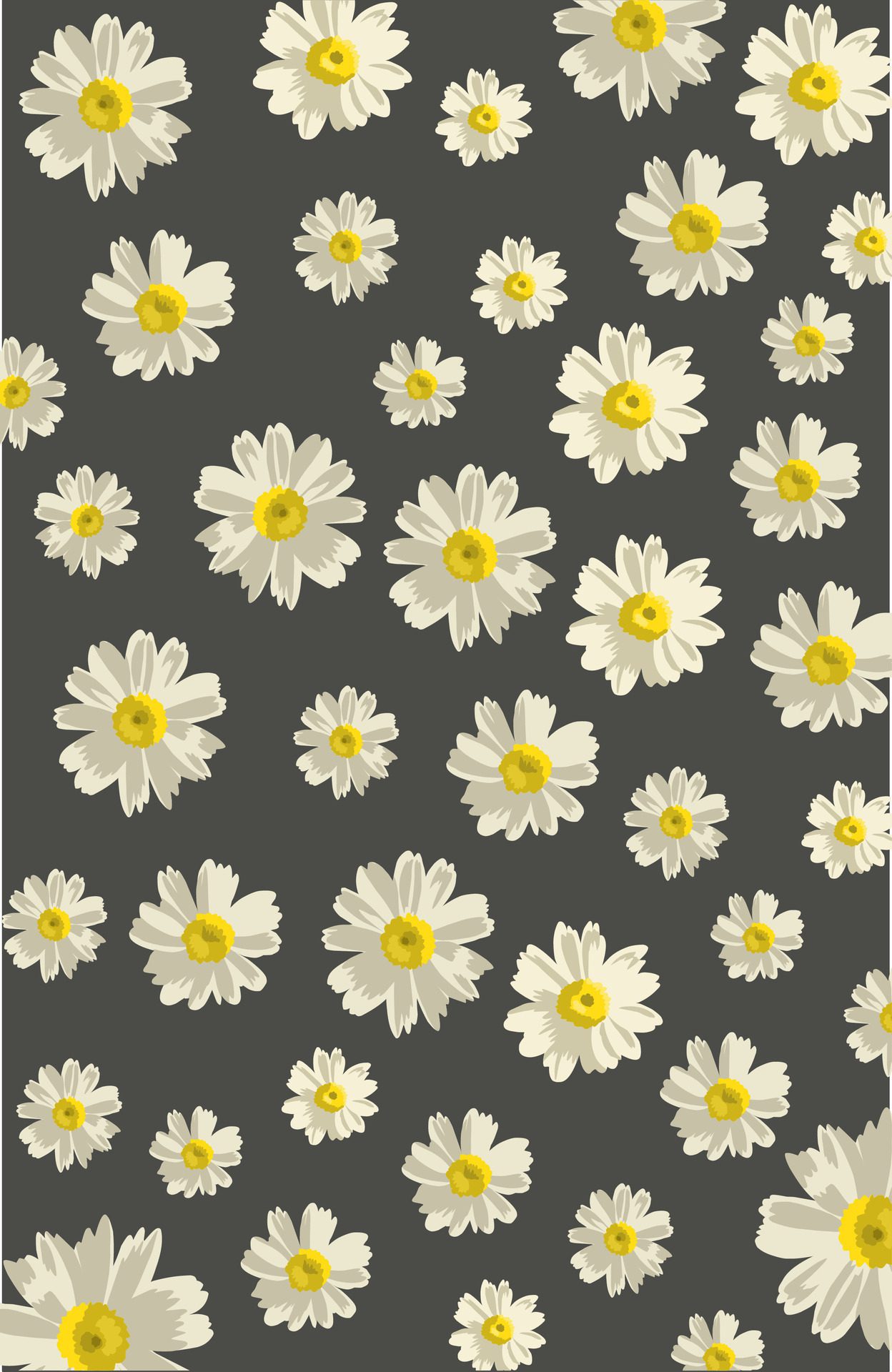 Lots of white daisy flower patterns on a gray background Free Vector