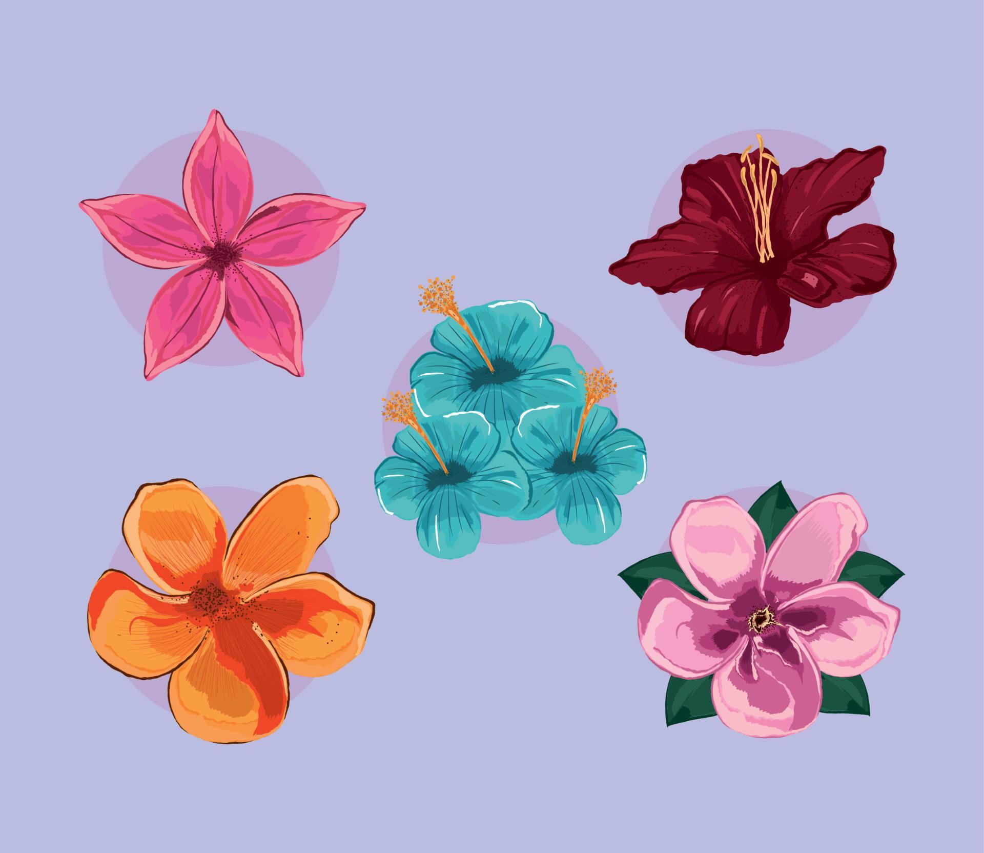 icons exotic flowers Stock Free