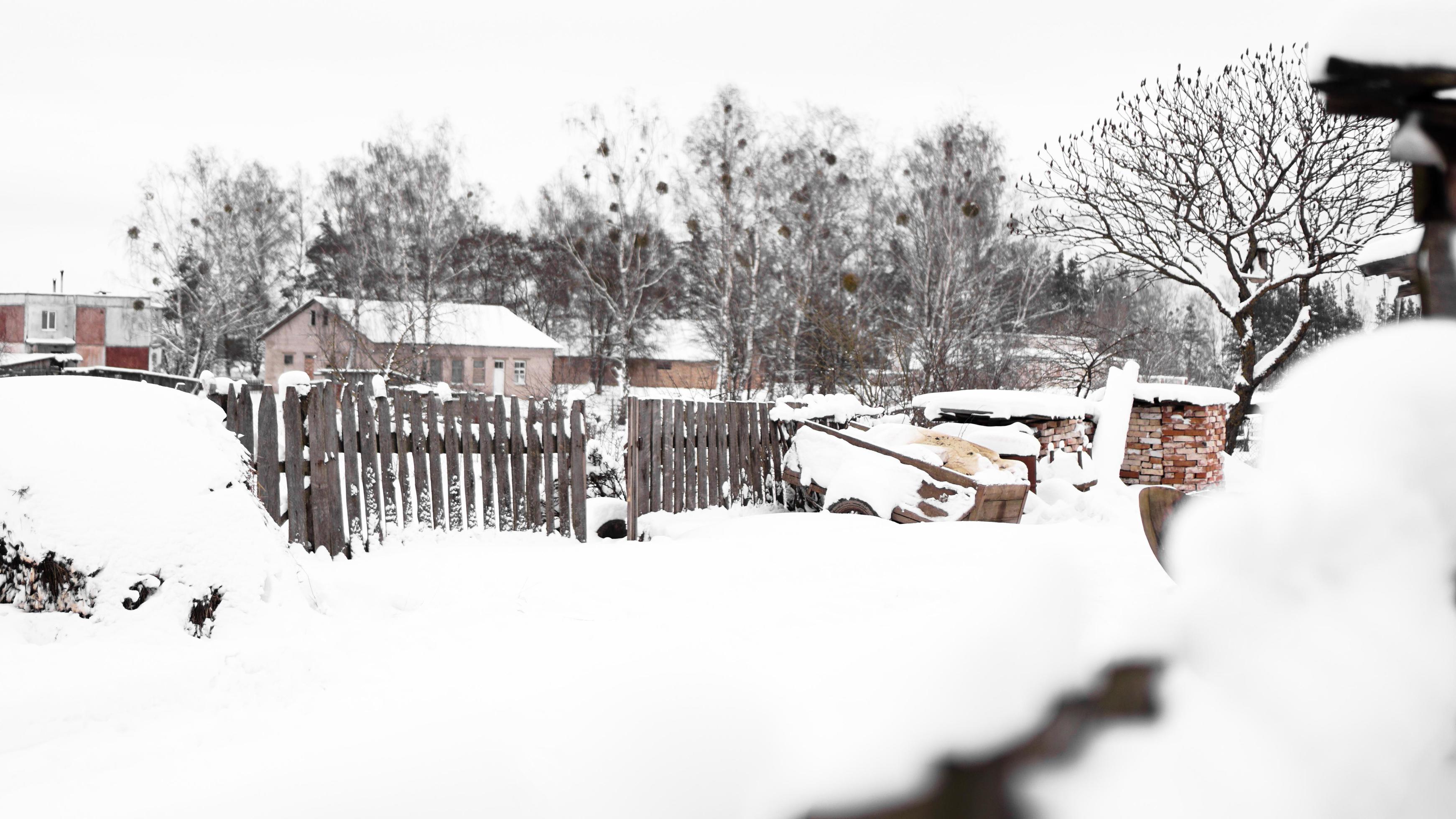 Countryside and nature in winter. A lot of snow after a snowfall Stock Free