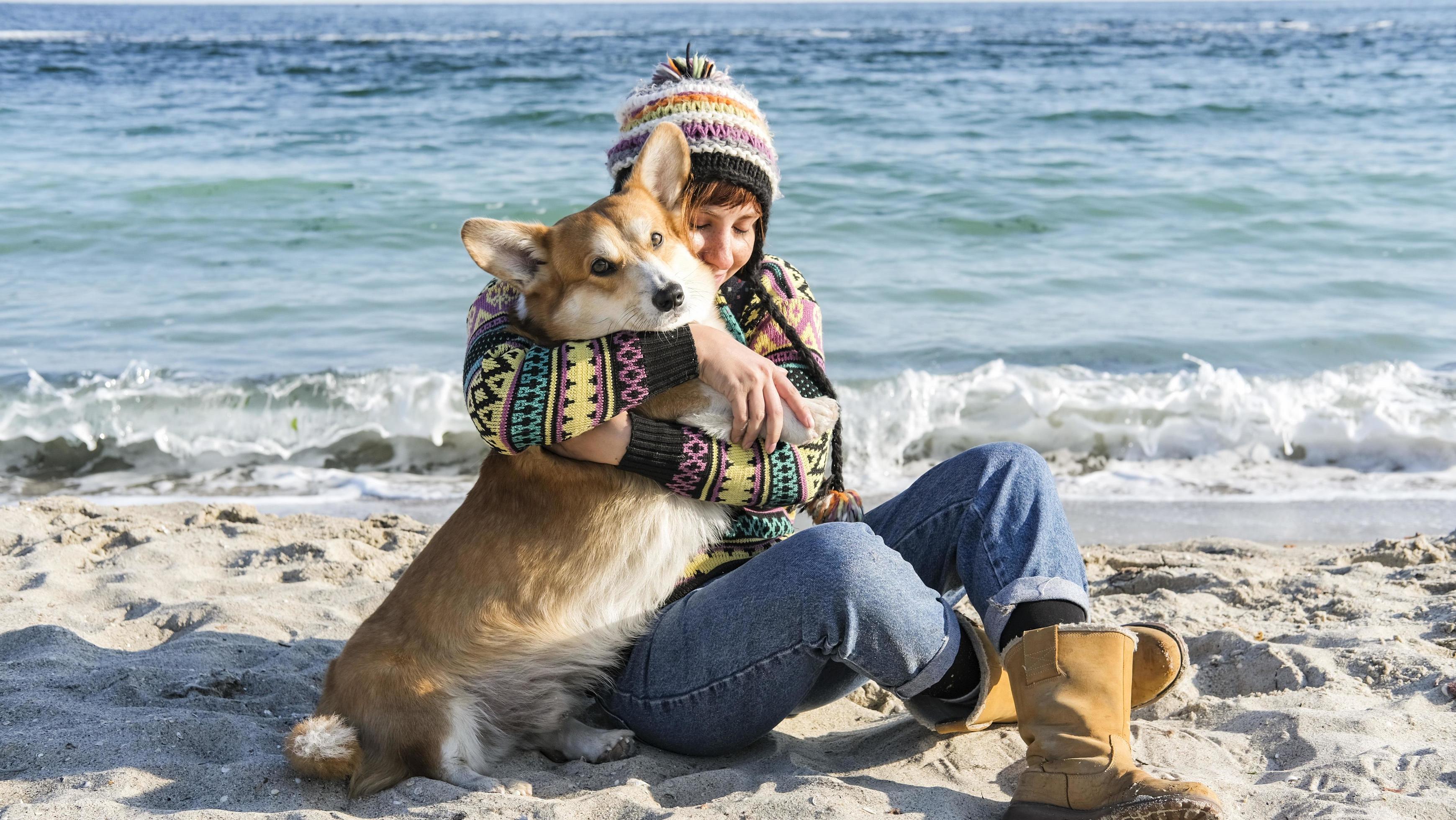 Young happy female walk with cute corgi dog on the autumn sunny beach Stock Free