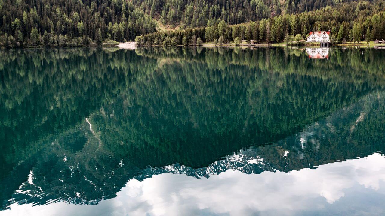 Conifer Trees Lake Reflection Stock Free