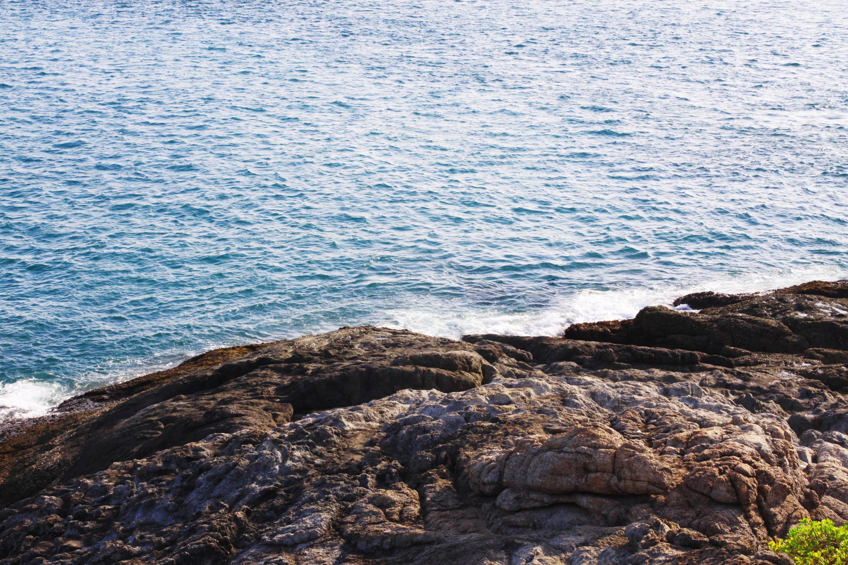 Beautiful beach plants and seascape with sunset of sea horizon and Calm on rock Cape in Phuket island, Thailand. Stock Free