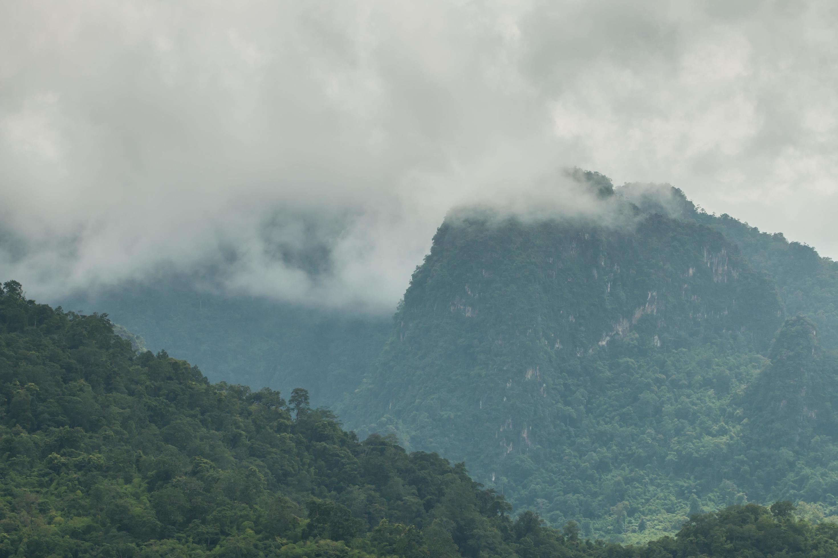 beautiful mountain scenery ,forest and misty Stock Free