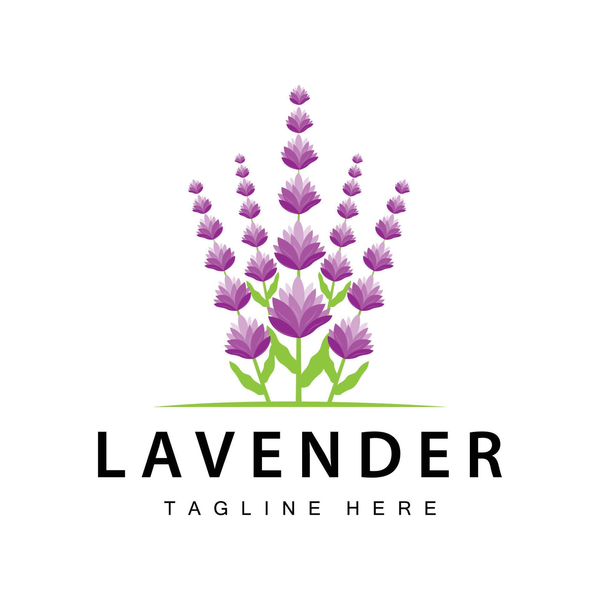 Lavender logo simple design vector cosmetic plant purple color and aromatherapy lavender flower garden template Stock Free