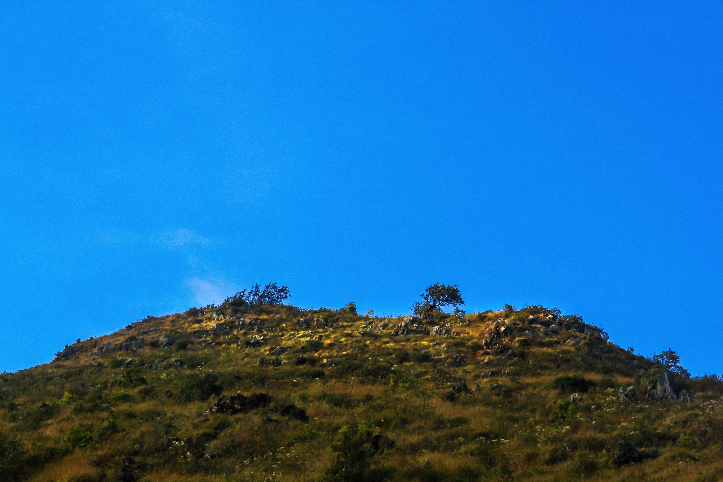 Beautiful Landscape of rocky Limestone Mountain and green forest with blu sky at Chiang doa national park in Chiangmai, Thailand Stock Free