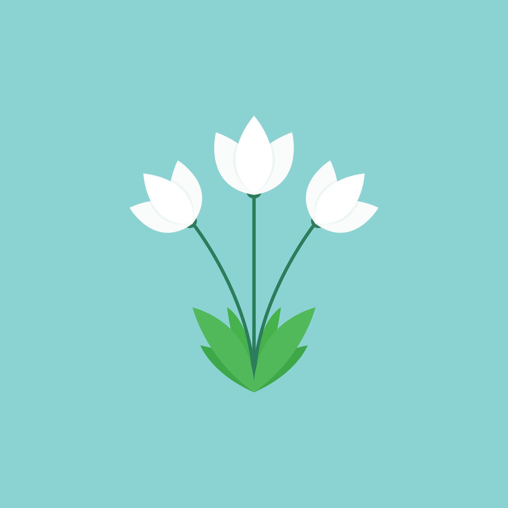 White flower vector. White flower pattern wallpaper Stock Free