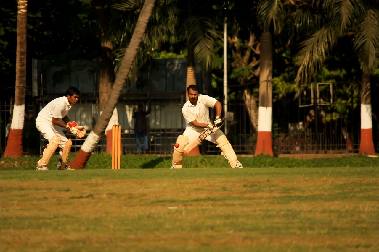 Sports Cricket Stock Free