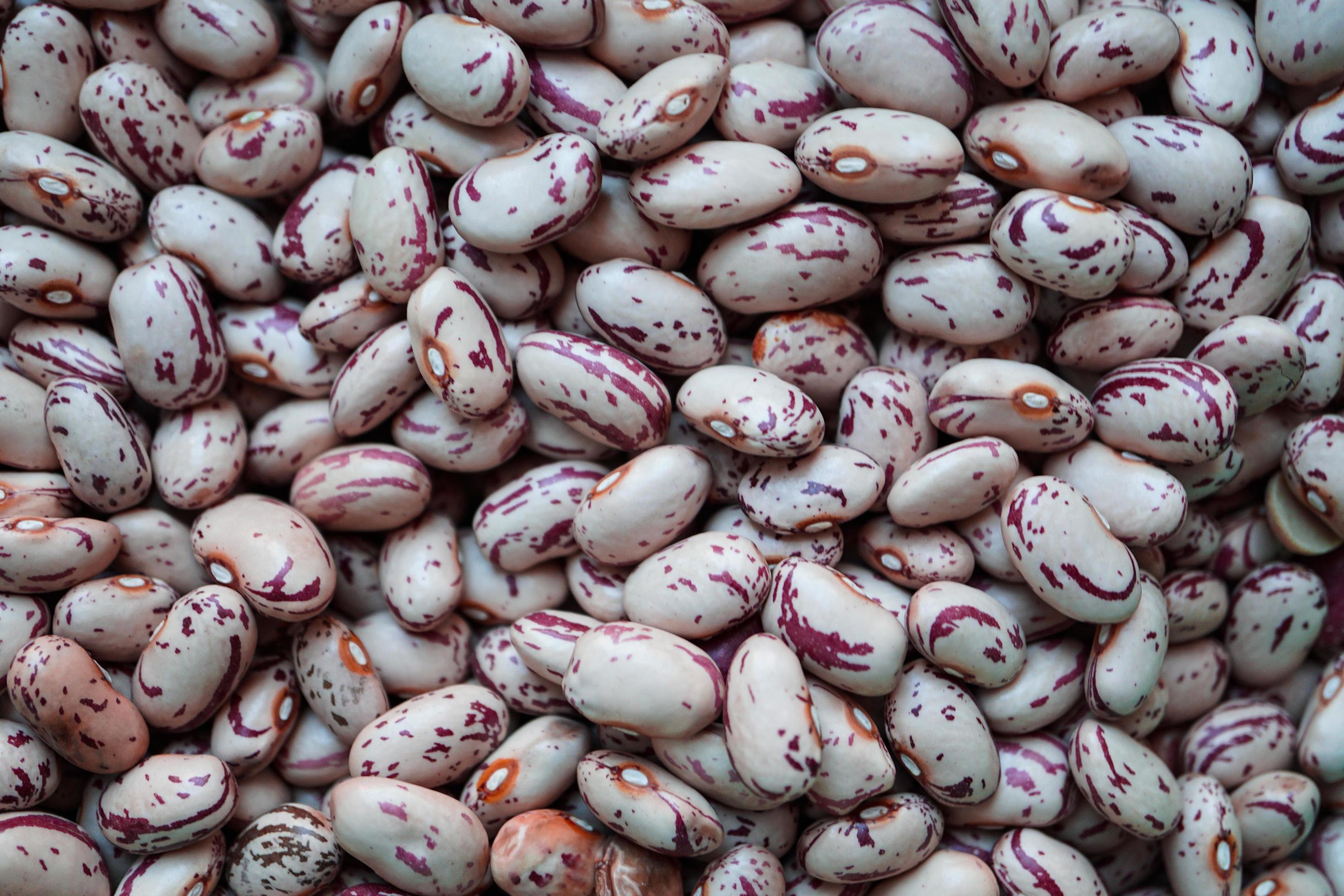 red beans for cooking, healthy food Stock Free