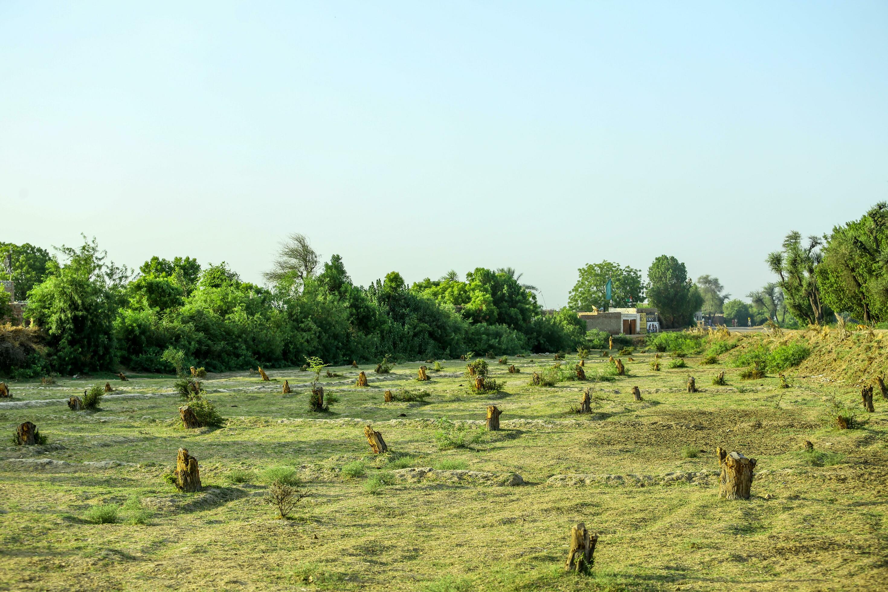 Green Forest Nature of Hope Pakistani Village Stock Free