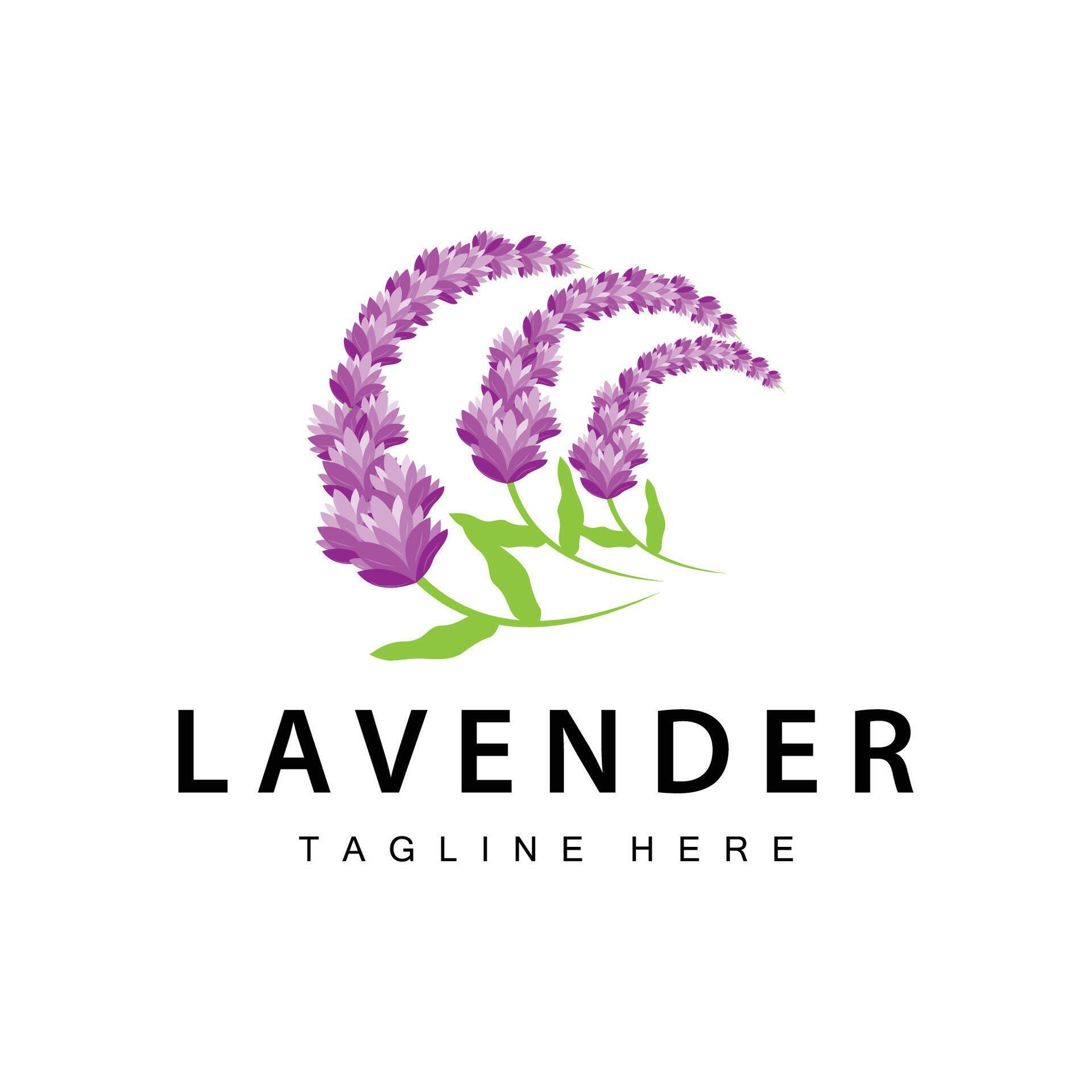 Lavender logo simple design cosmetic plant purple color and aromatherapy lavender flower garden template Stock Free