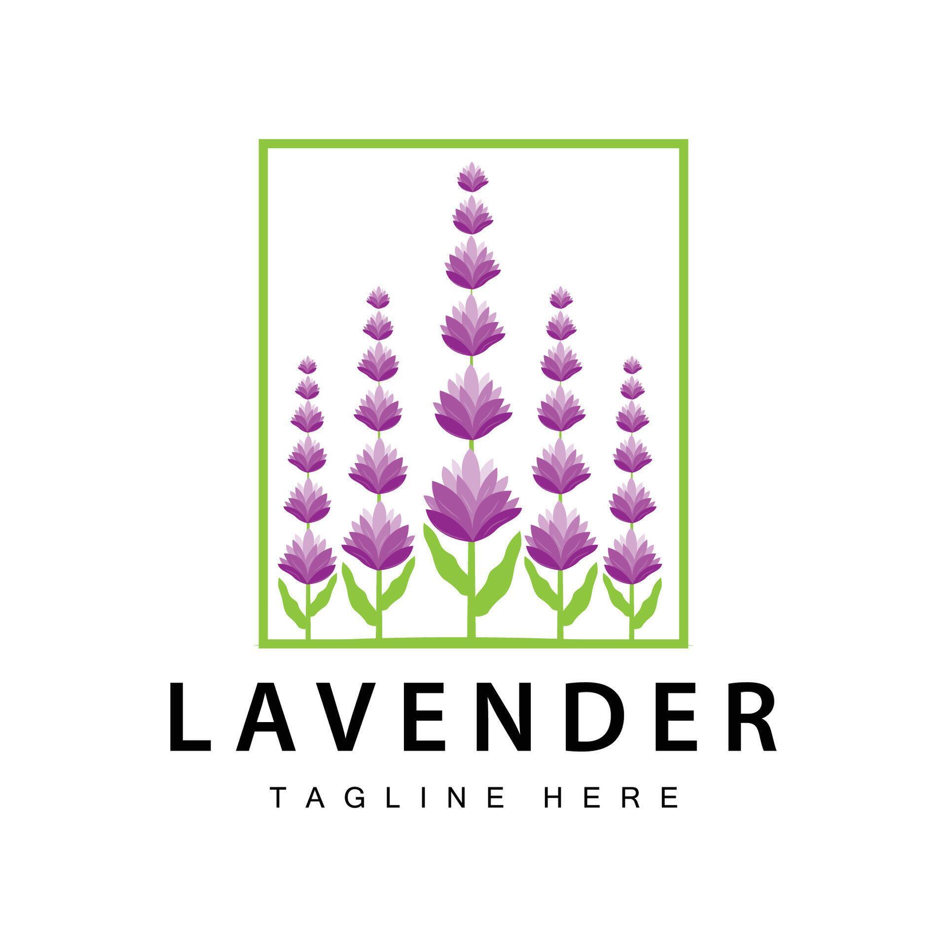 Lavender logo simple design vector cosmetic plant purple color and aromatherapy lavender flower garden template Stock Free