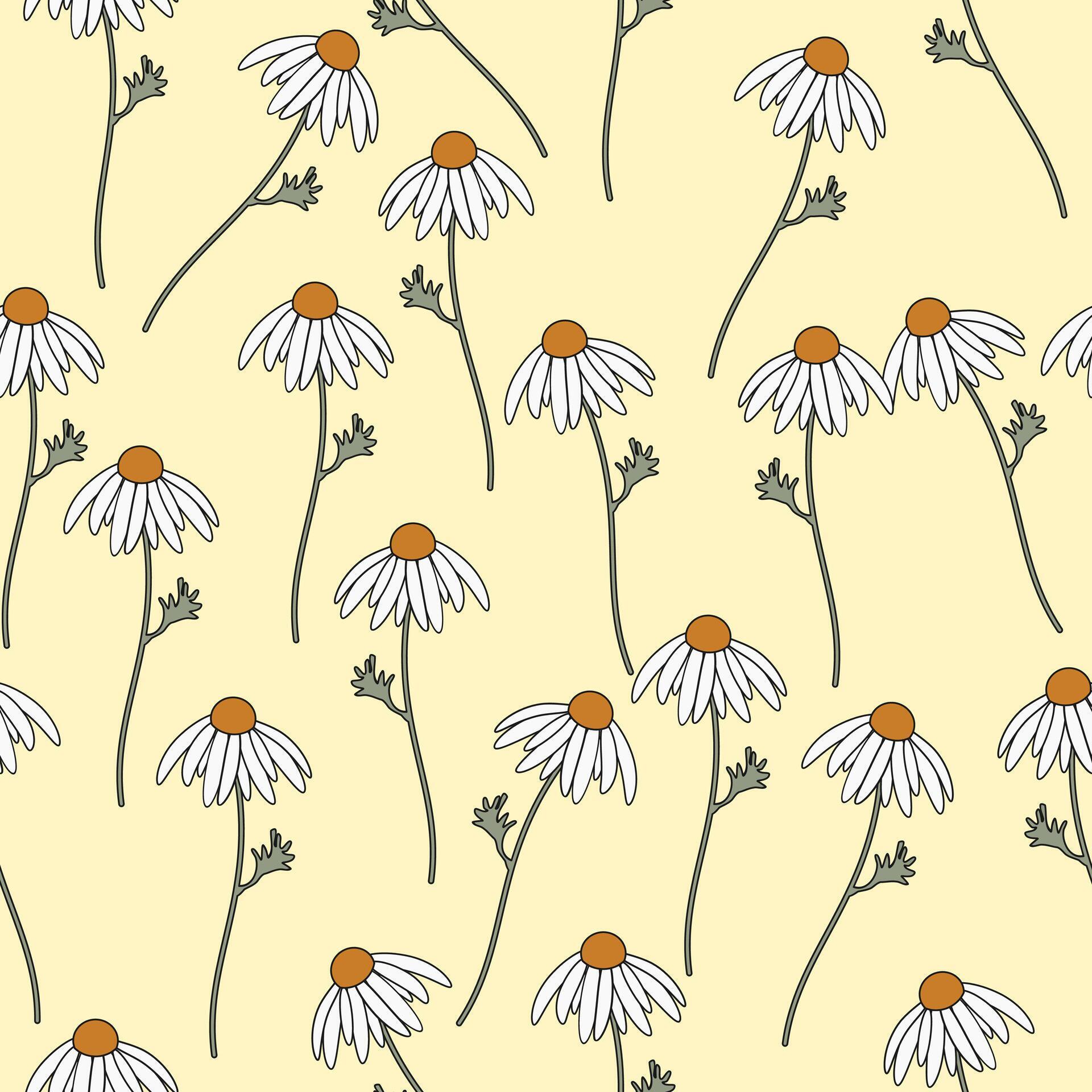 Beautiful daisy flower seamless pattern background Stock Free