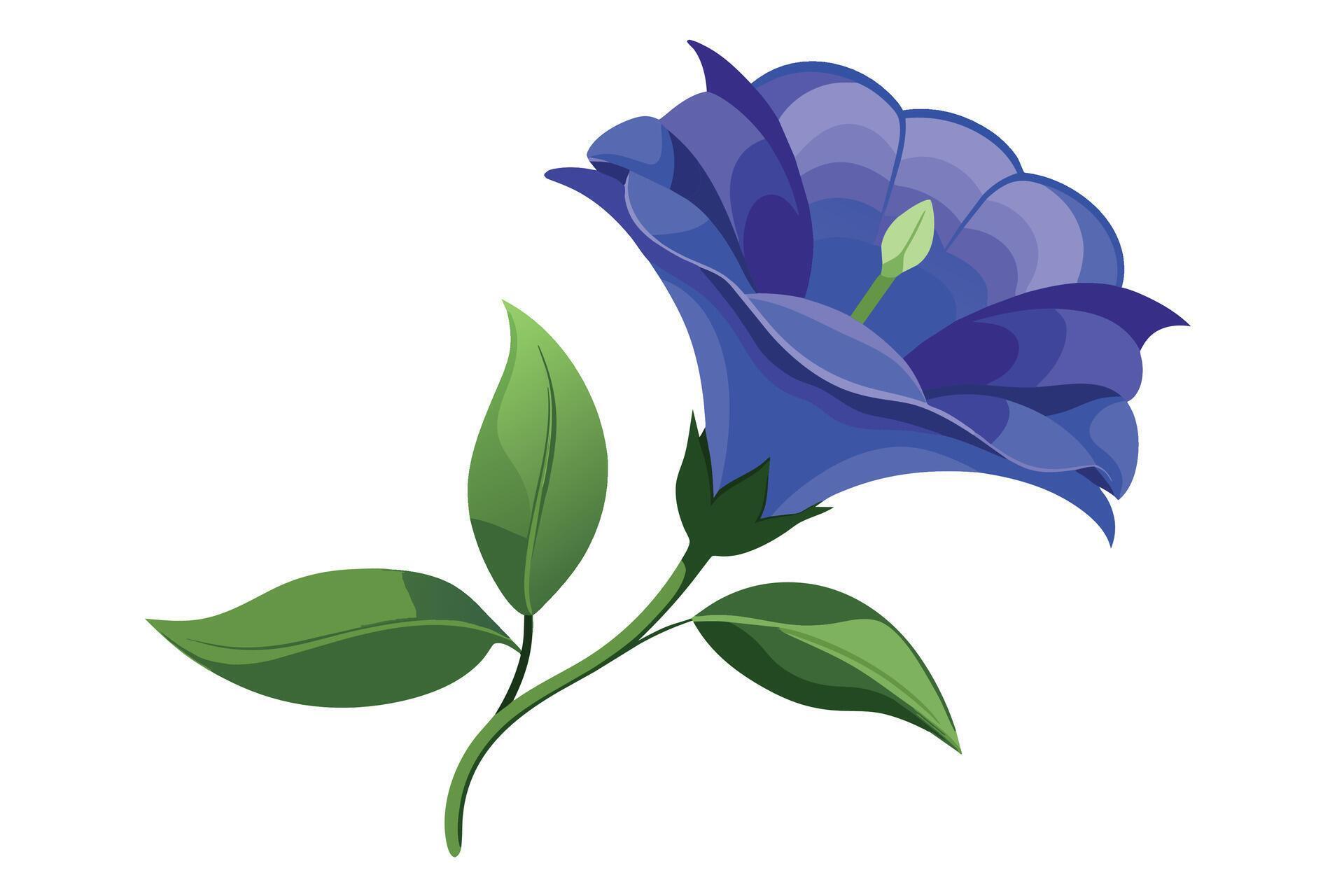 lisianthus Flower Vector Illustration Isolated on a Clean Background Stock Free