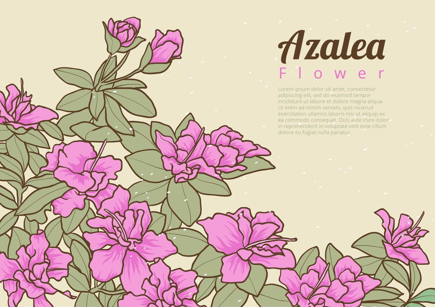 Azalea Flowers Stock Free and Free SVG