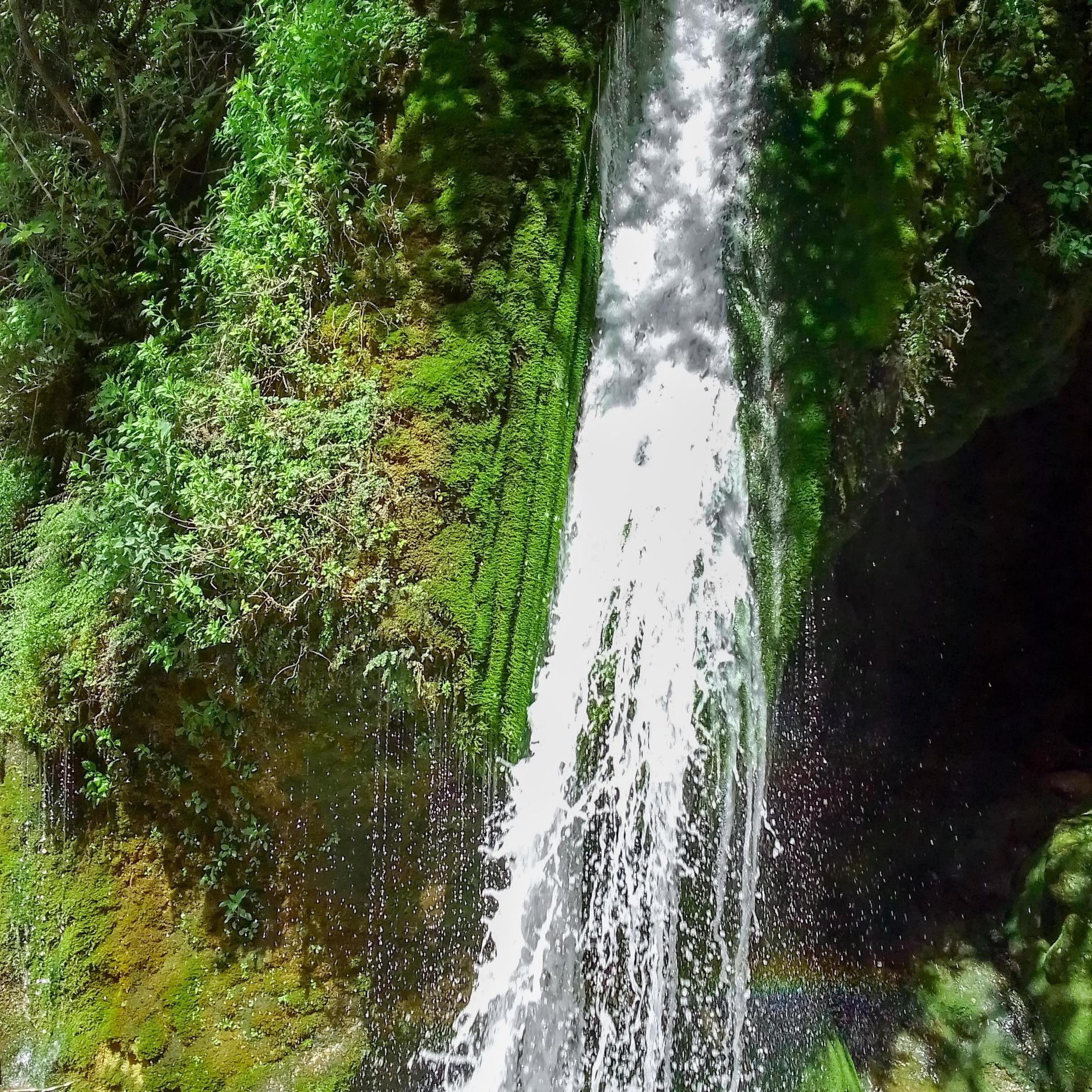 Natural forest waterfall Stock Free