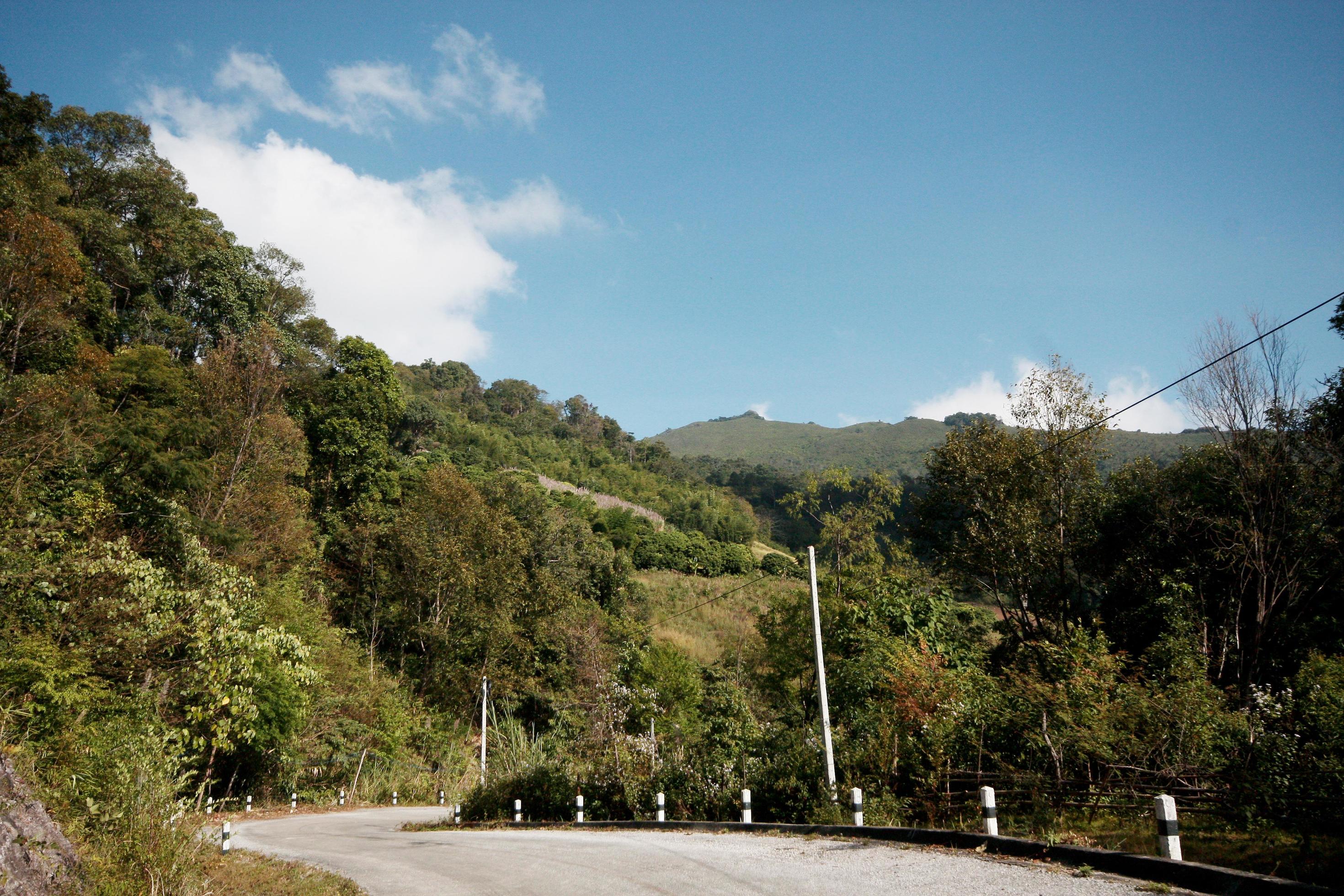 Yellow Sign label warning of curve road on the mountain in Thailand Stock Free