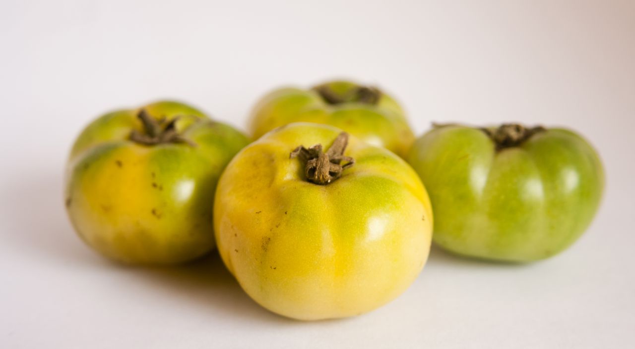 Green Tomatoes Stock Free