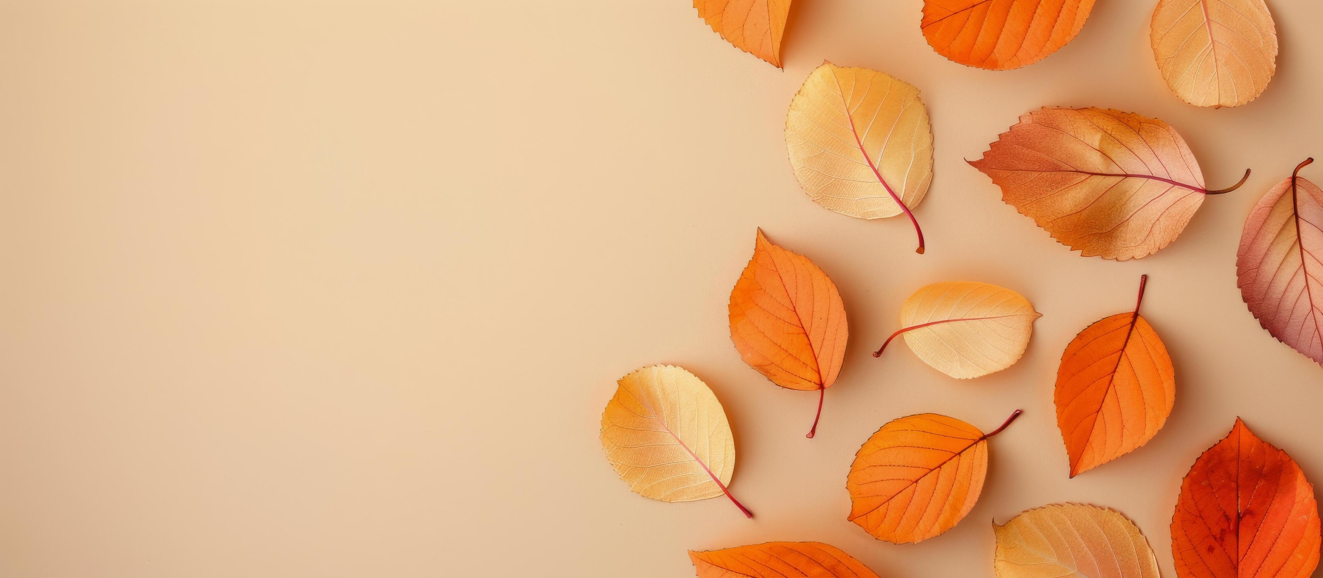 Autumn Leaves on Beige Background Stock Free