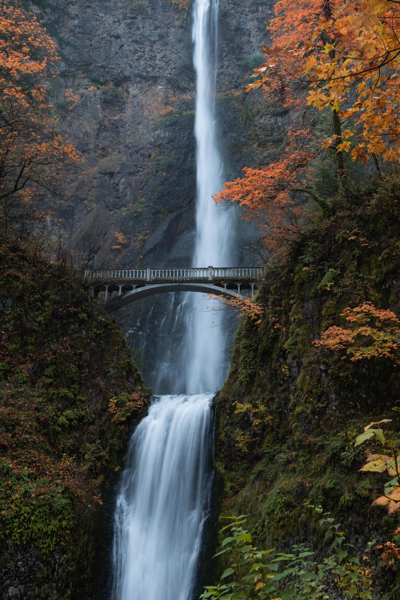 Autumn at Multnomah Falls Stock Free