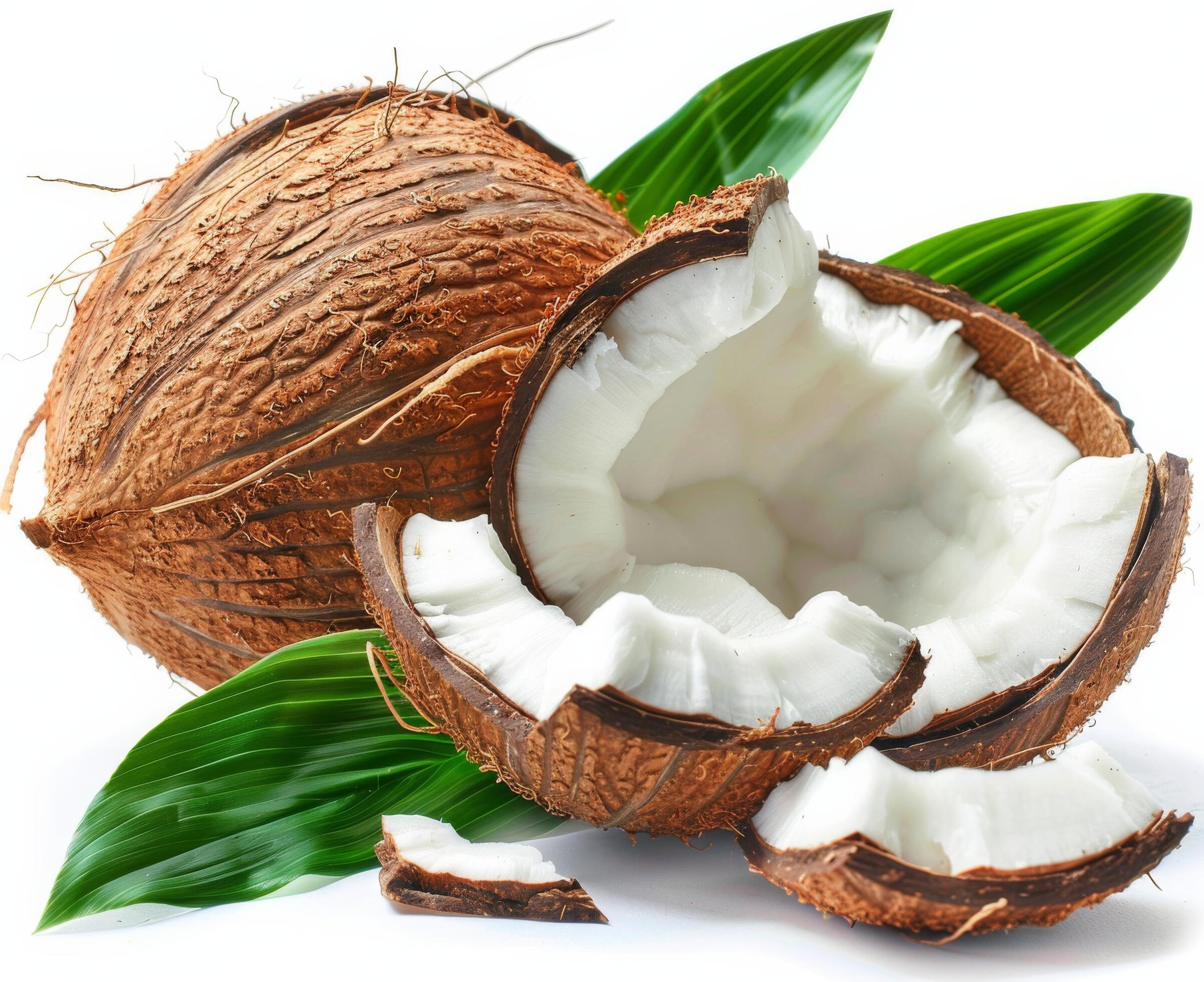 Freshly Opened Coconut With Palm Leaves on White Background Stock Free