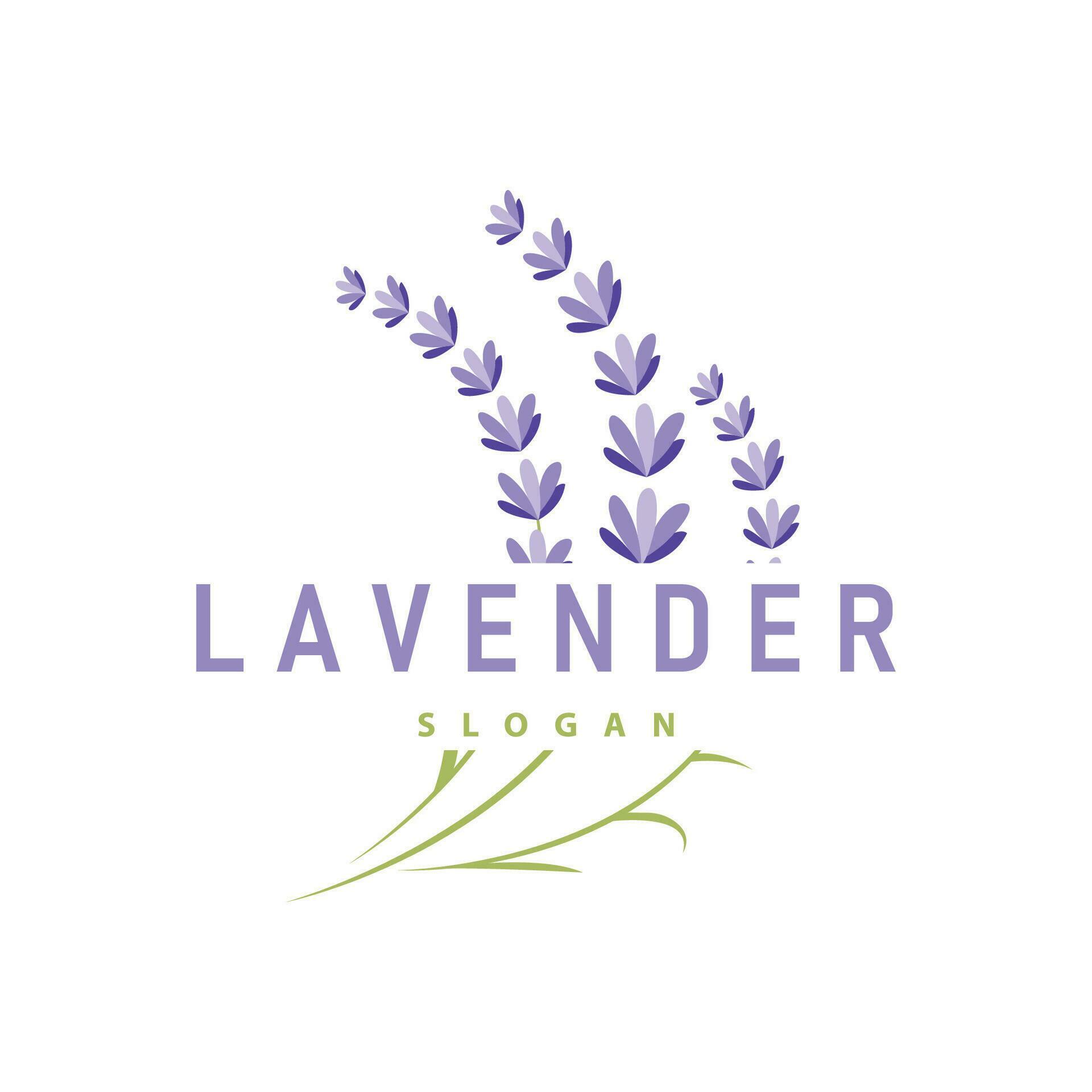 Lavender Logo Elegant Purple Flower Plant Illustration Floral Ornament Design Stock Free