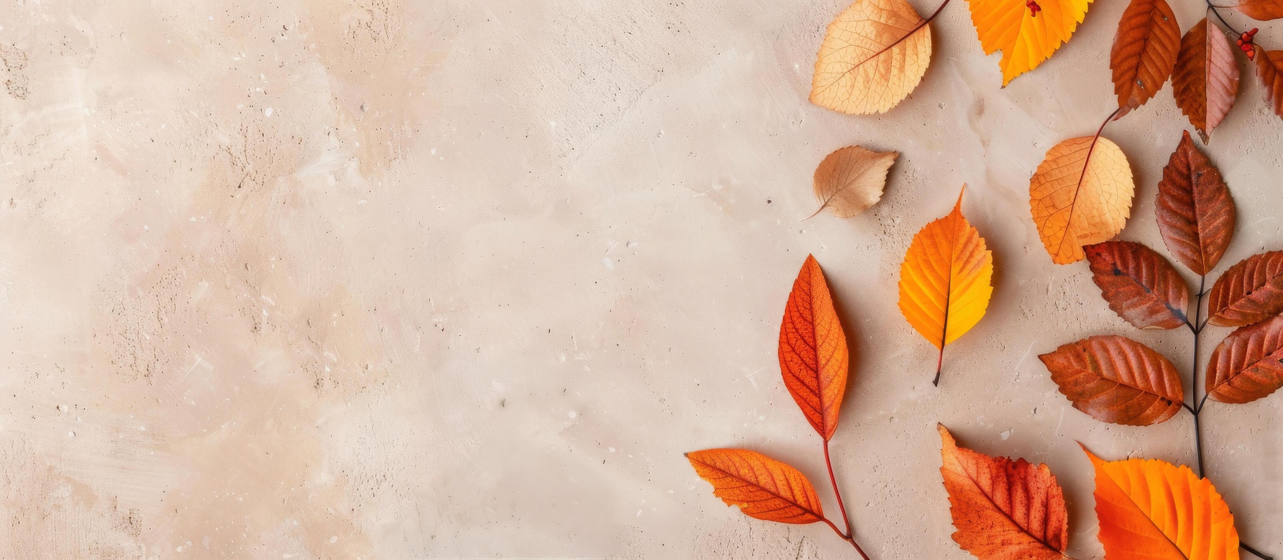 Autumn Leaves on Beige Background Stock Free