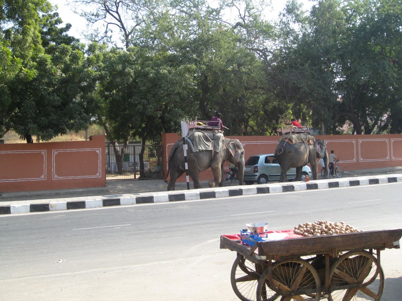 Elephants India Road Stock Free