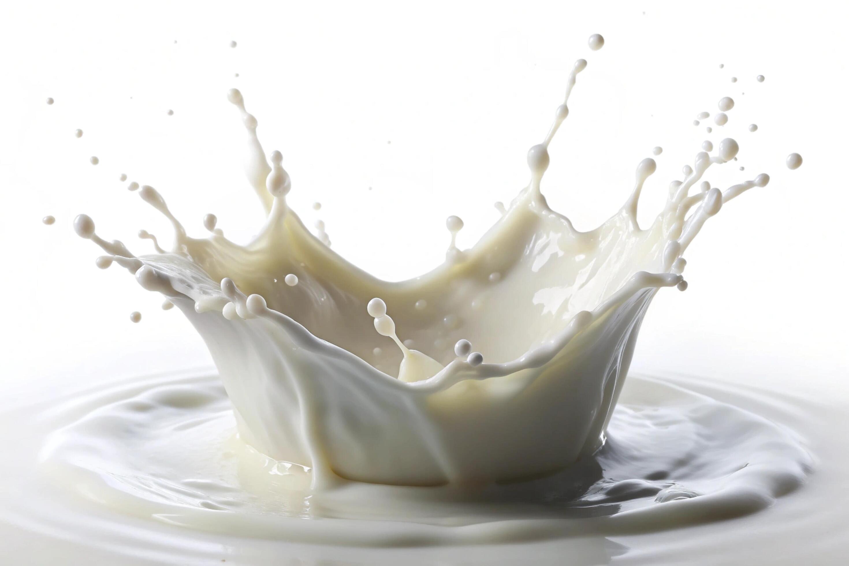 Milk splashes on white background Stock Free