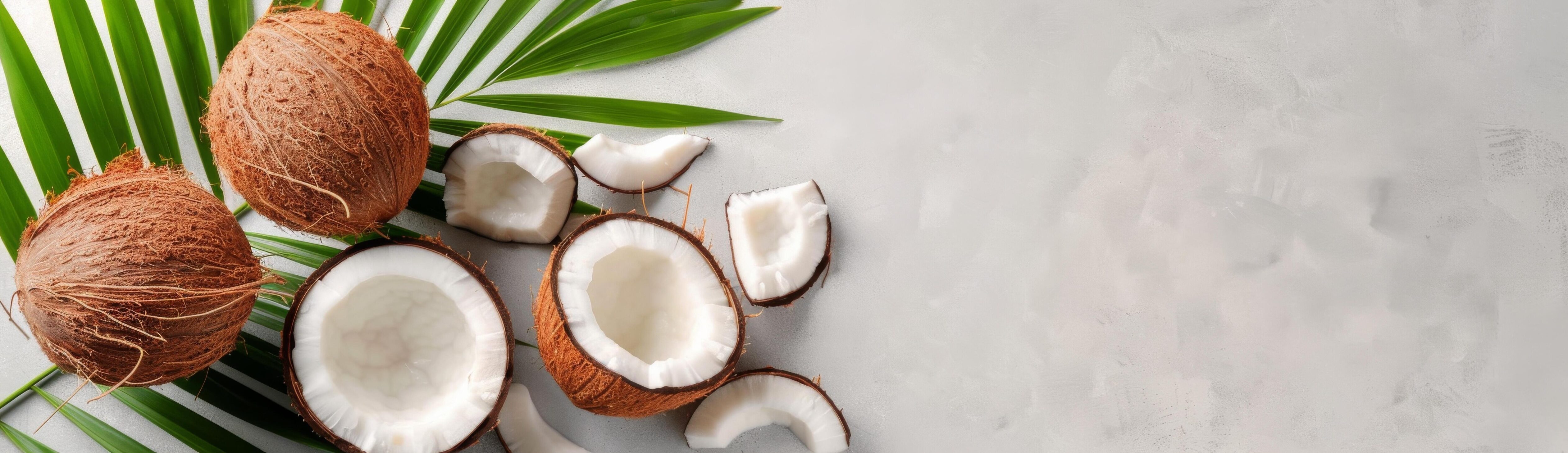 Coconut Halves and Palm Leaf on White Background Stock Free