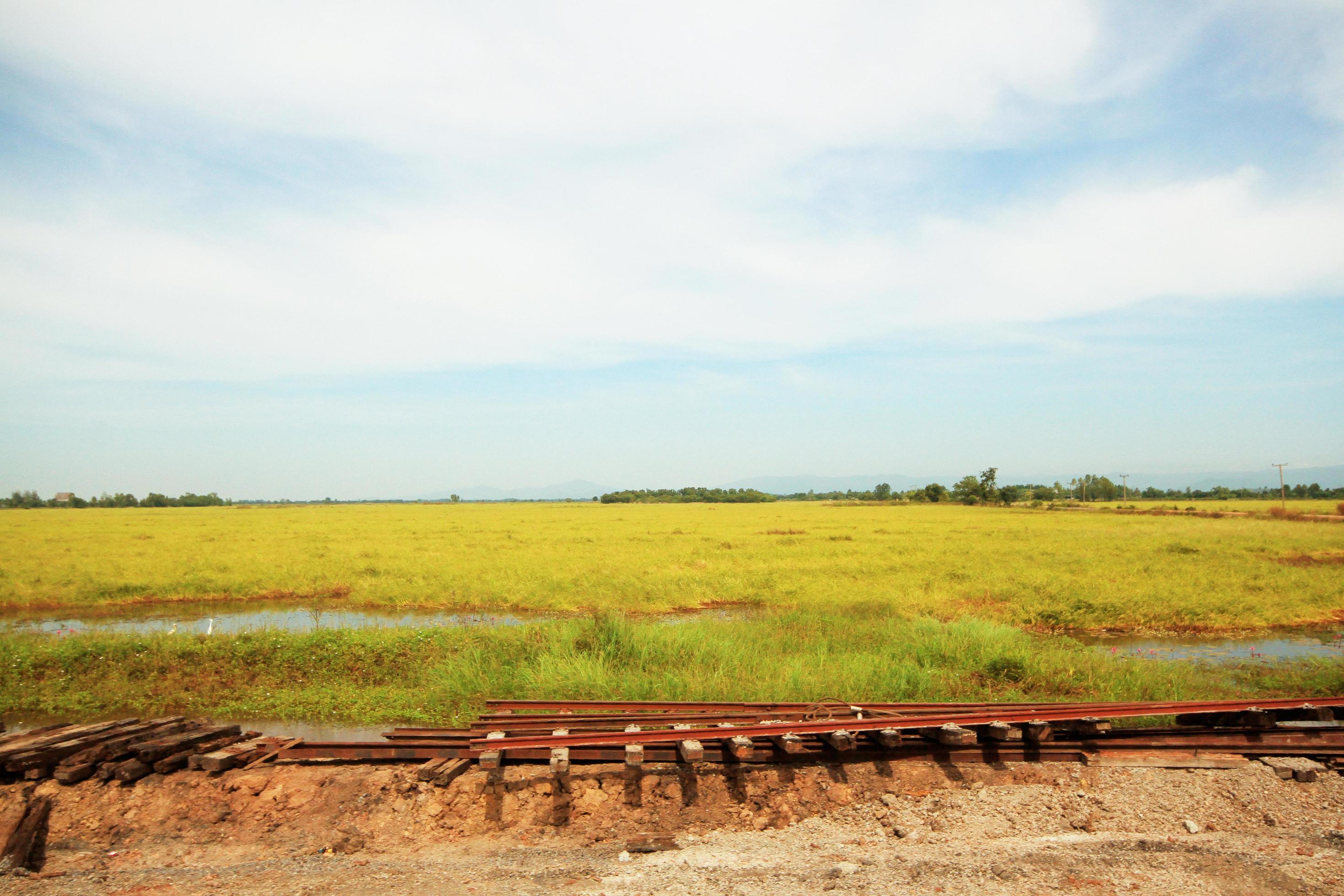 Beautiful Landscape of Fresh green rice fields and plantations near canal and constrution country road beside the rice fields in Thailand Stock Free