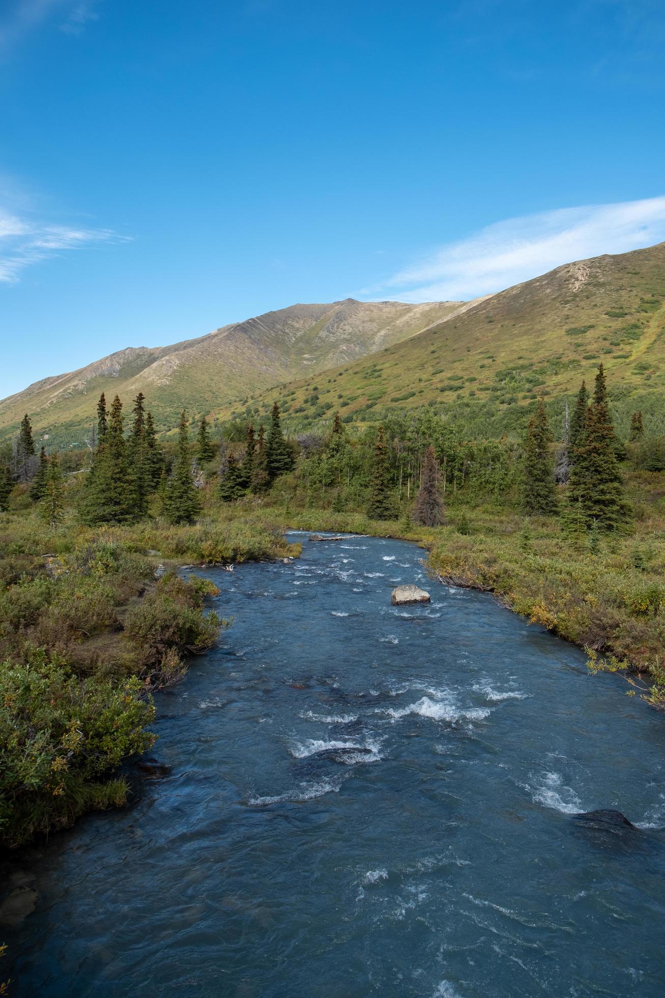 River in Alaska near Eagle Lakes Stock Free