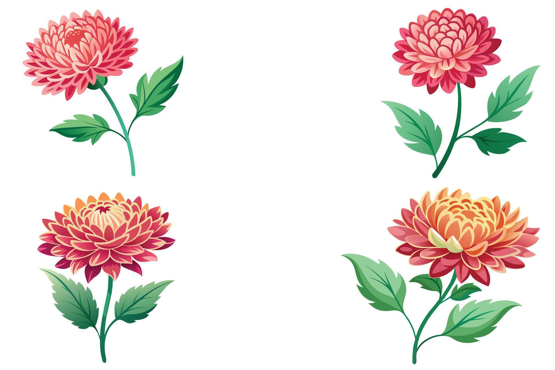 Bouquet of flowers dahlias vector design illustration Stock Free