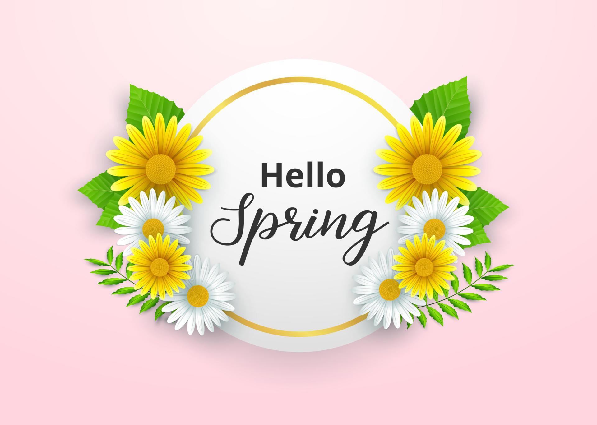 
									Hello spring background with beautiful flowers and round frame Stock Free