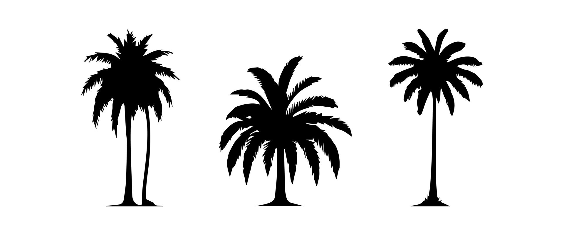 Black palm trees set isolated on white background. Palm silhouettes. Design of palm trees for posters, banners and promotional items. illustration Free Vector