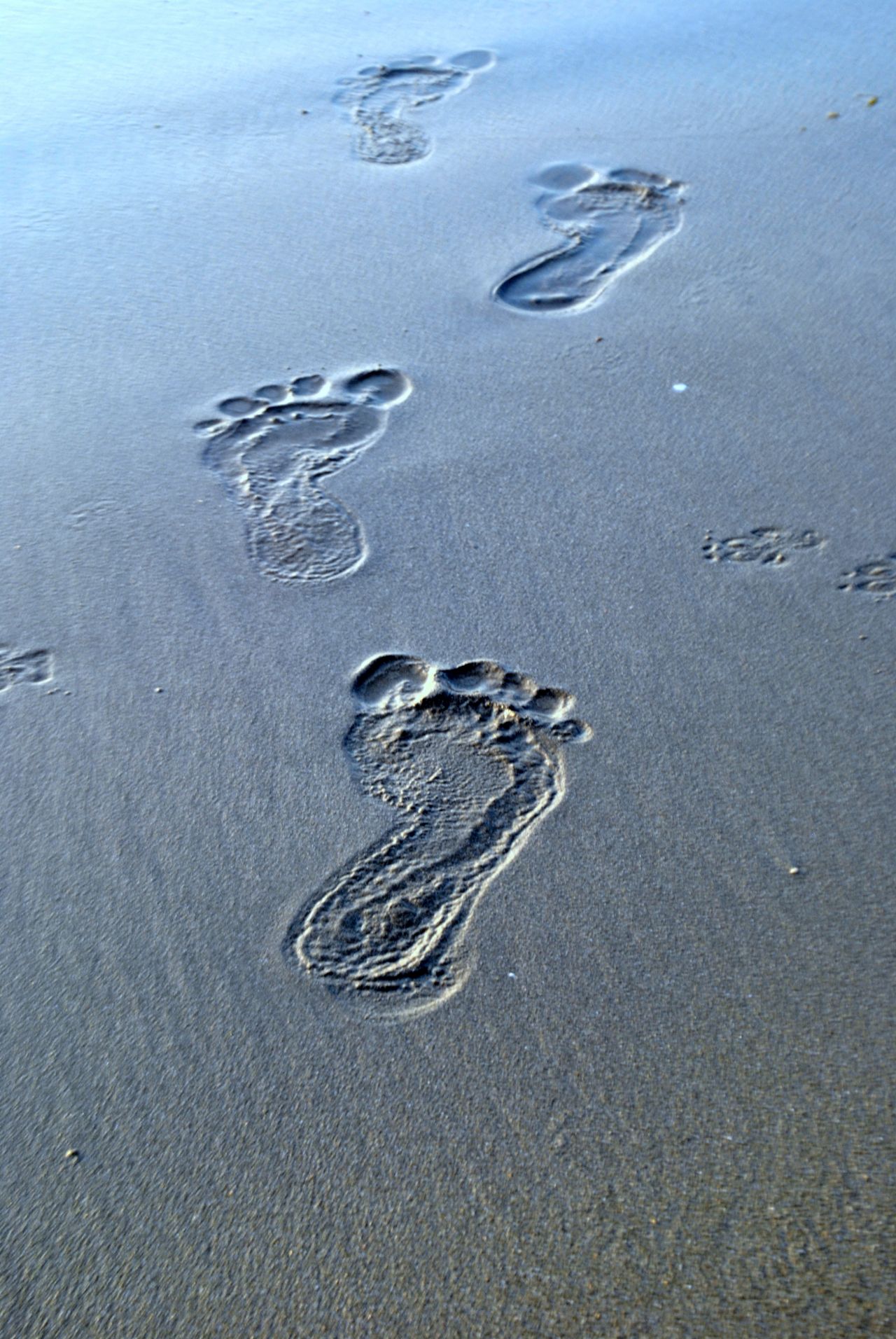 Footsteps In Sand Stock Free