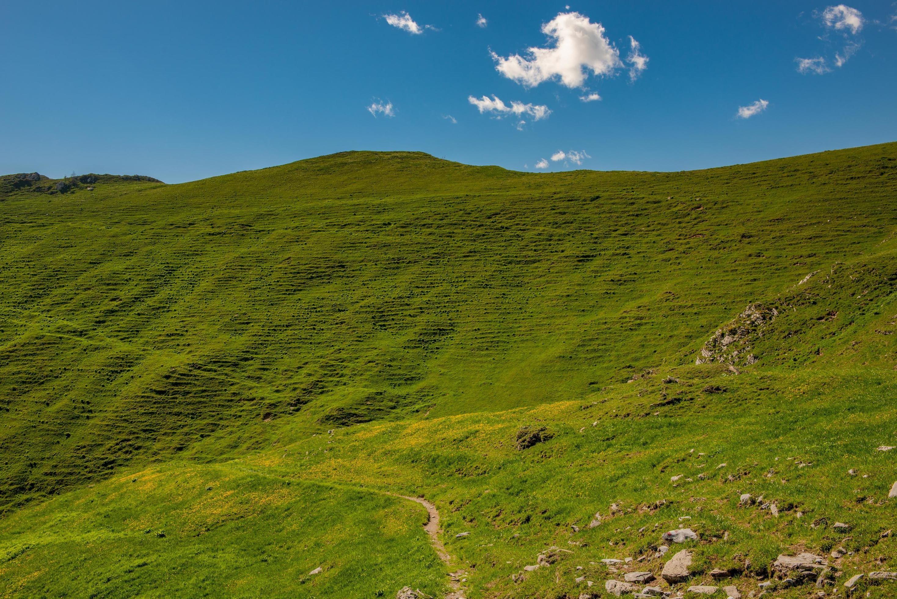 Mountain path through the pastures Stock Free