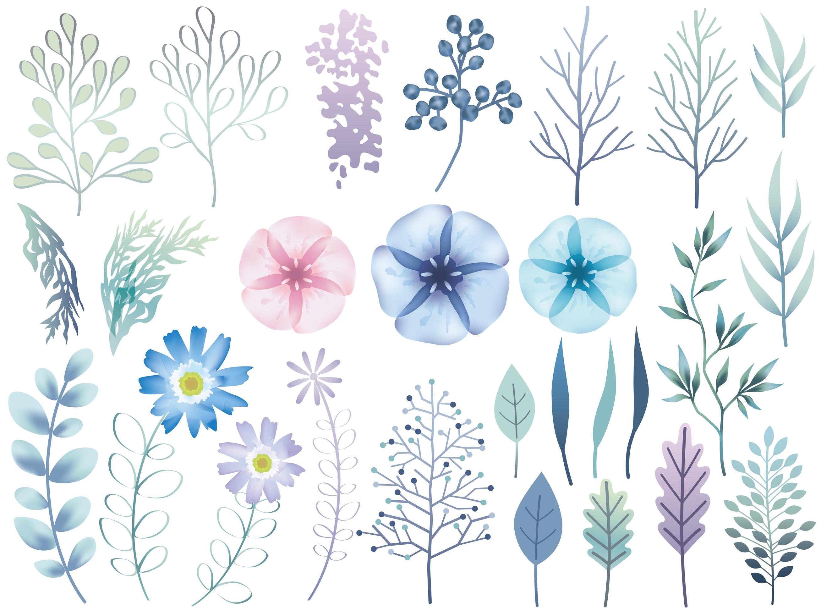 Set of Blue Purple Botanical Elements Isolated Stock Free