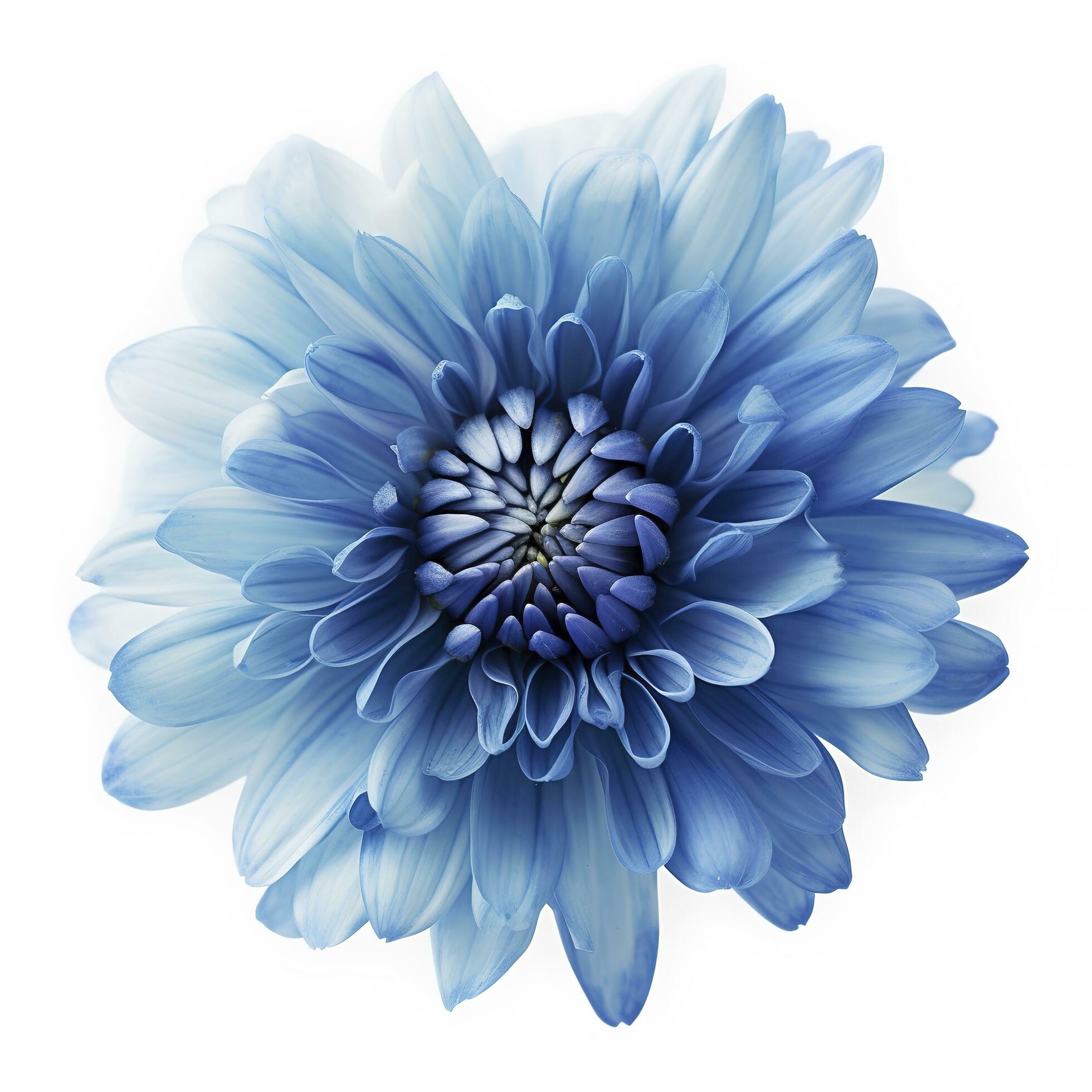 Blue flower isolated on white background, png with transparency , generate ai Stock Free