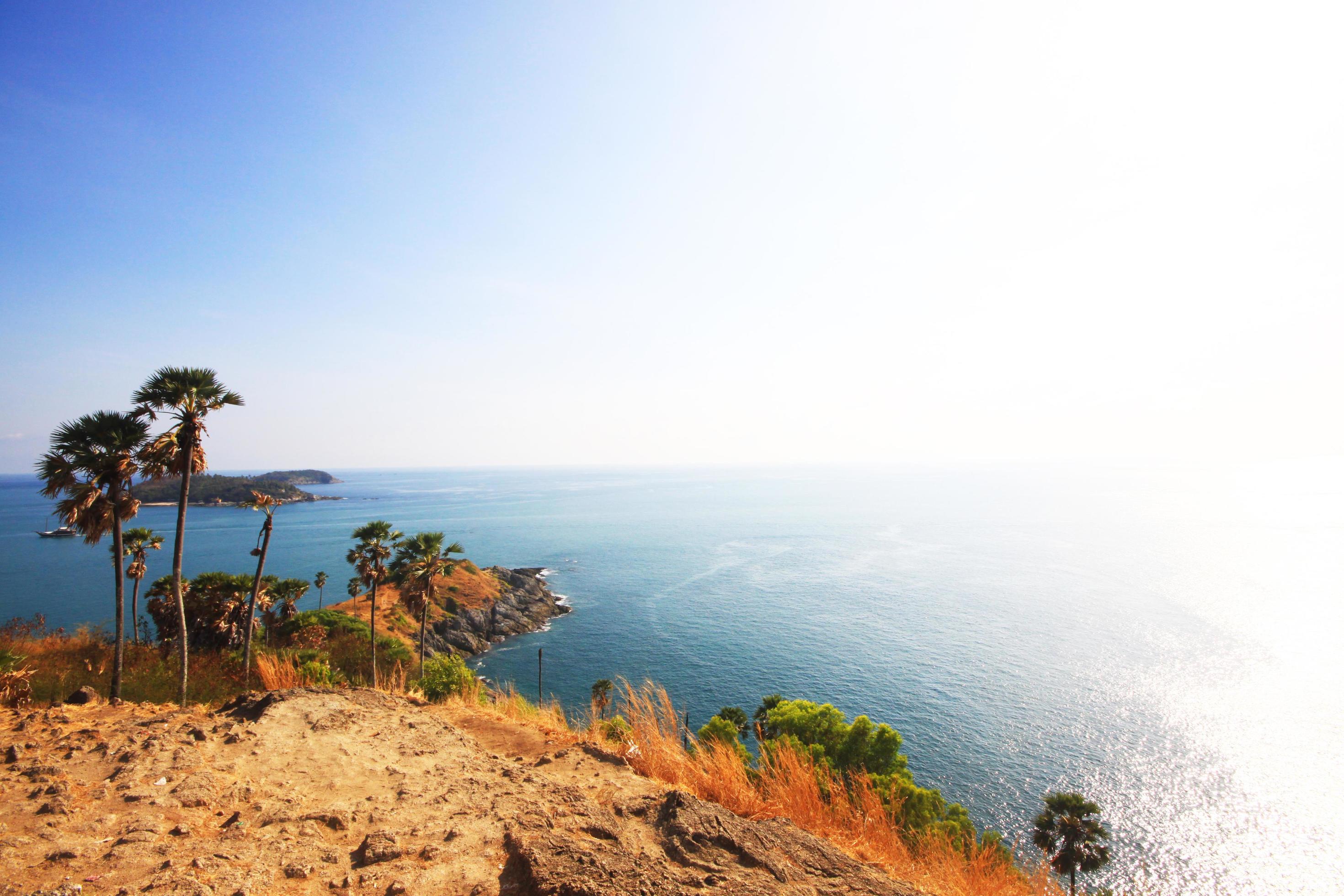 Beautiful seascape with sky twilight of sunset and Palm tree with Dry grass field on mountain of Phrom Thep Cape in Phuket island, Thailand. Stock Free