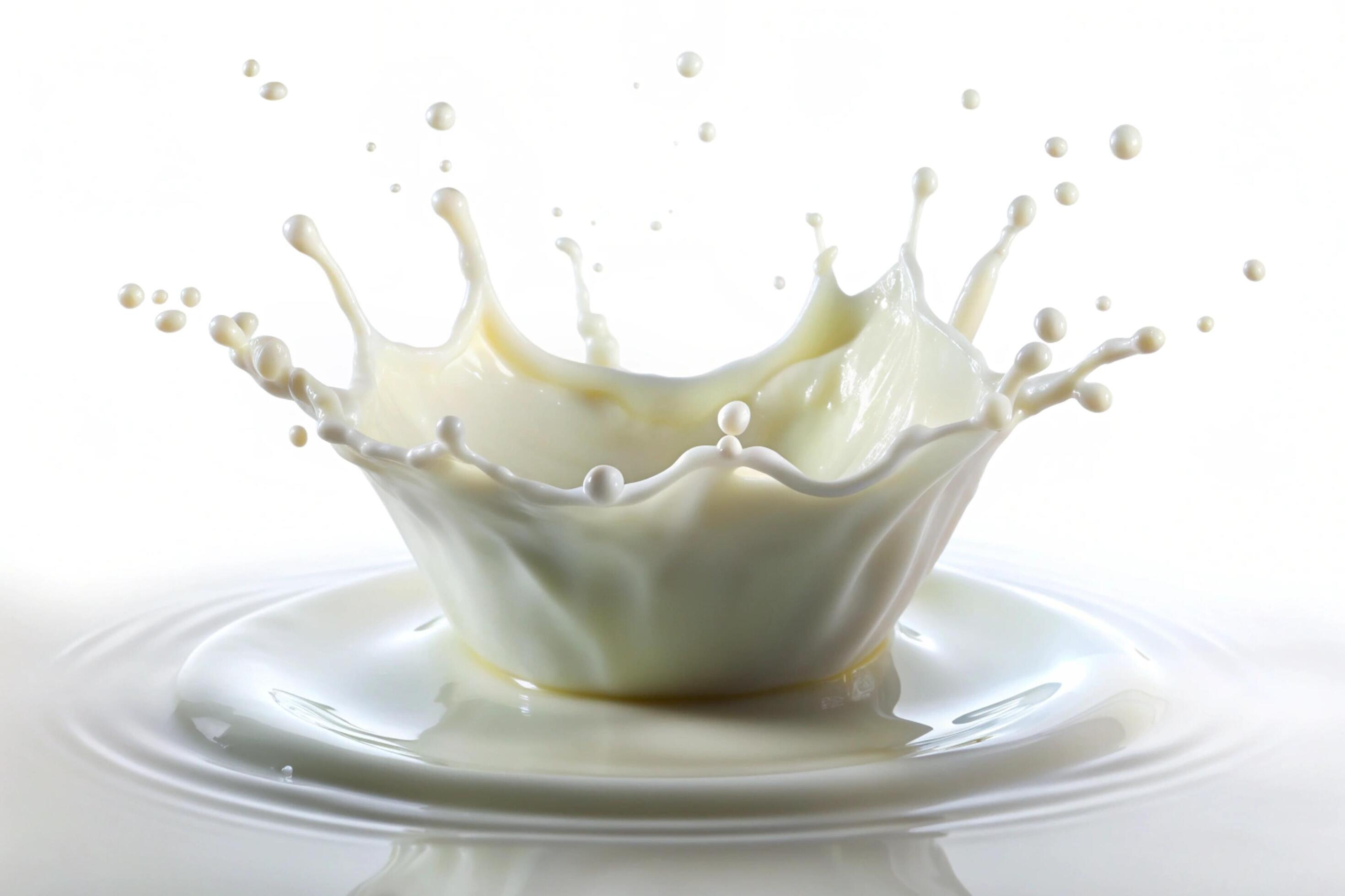 Milk splashes on white background Stock Free