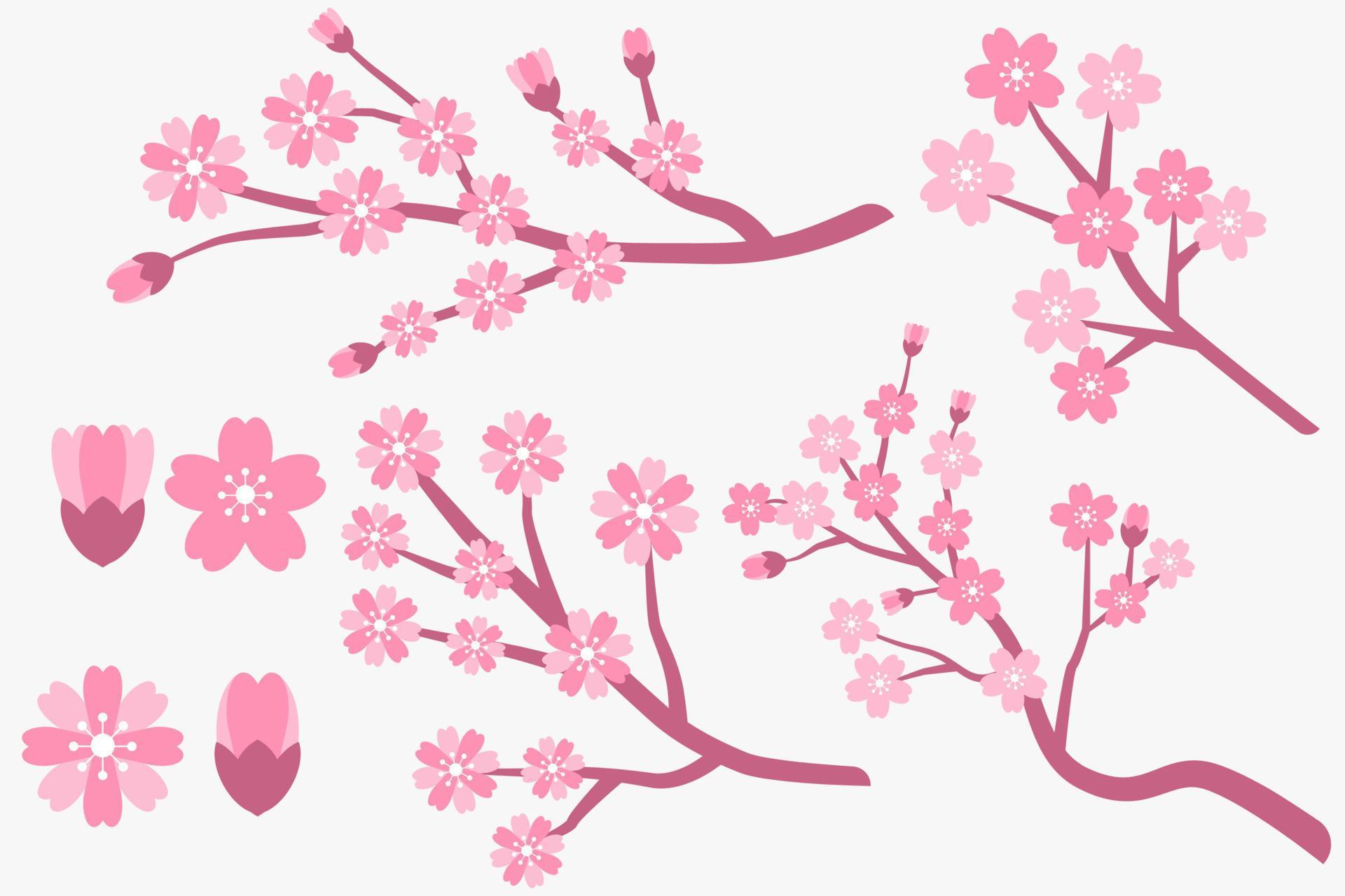 flat design cherry blossom, sakura branches and flowers collection Stock Free