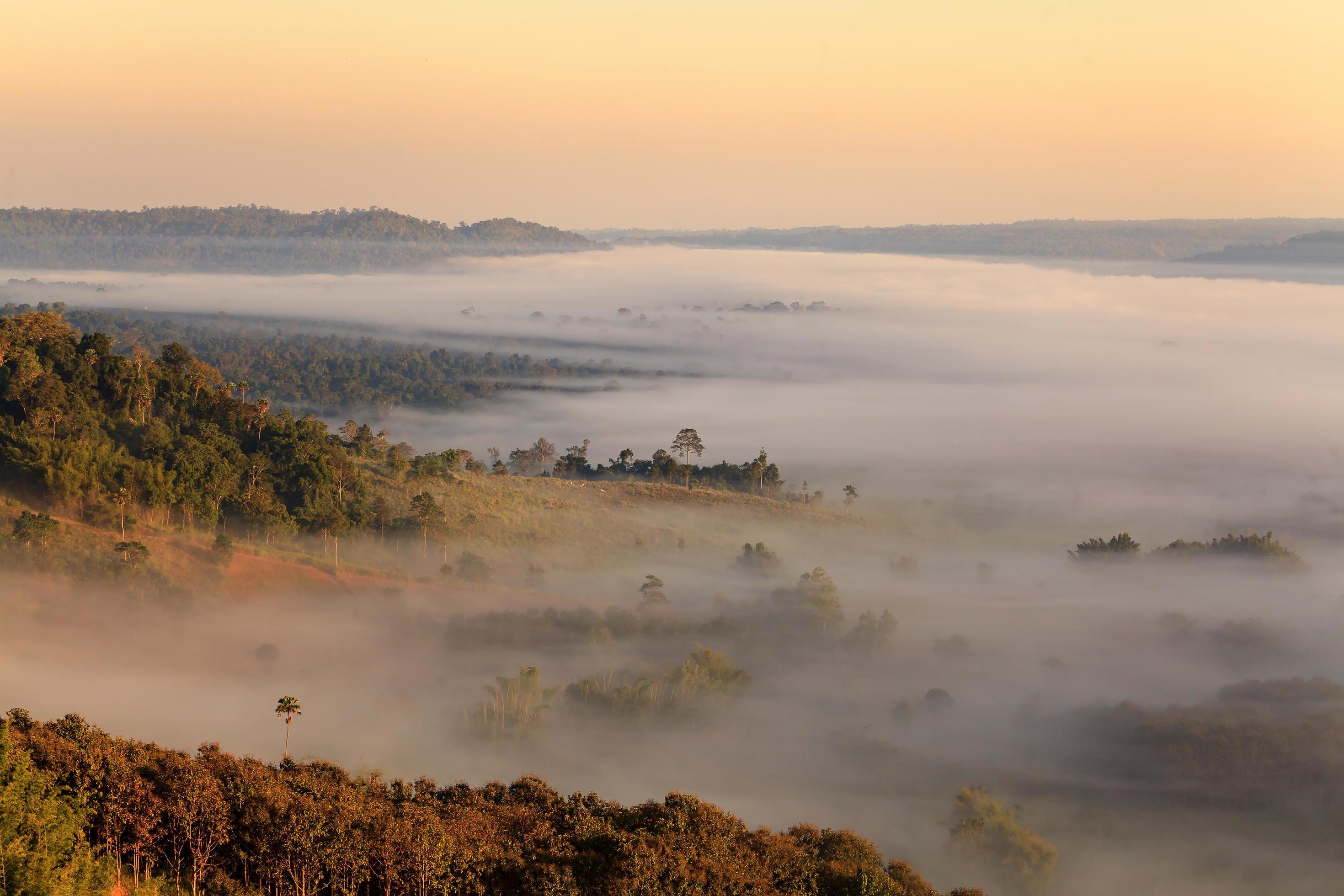 Fog in Khao Takhian Ngo View Point at Khao-kho Phetchabun,Thailand Stock Free