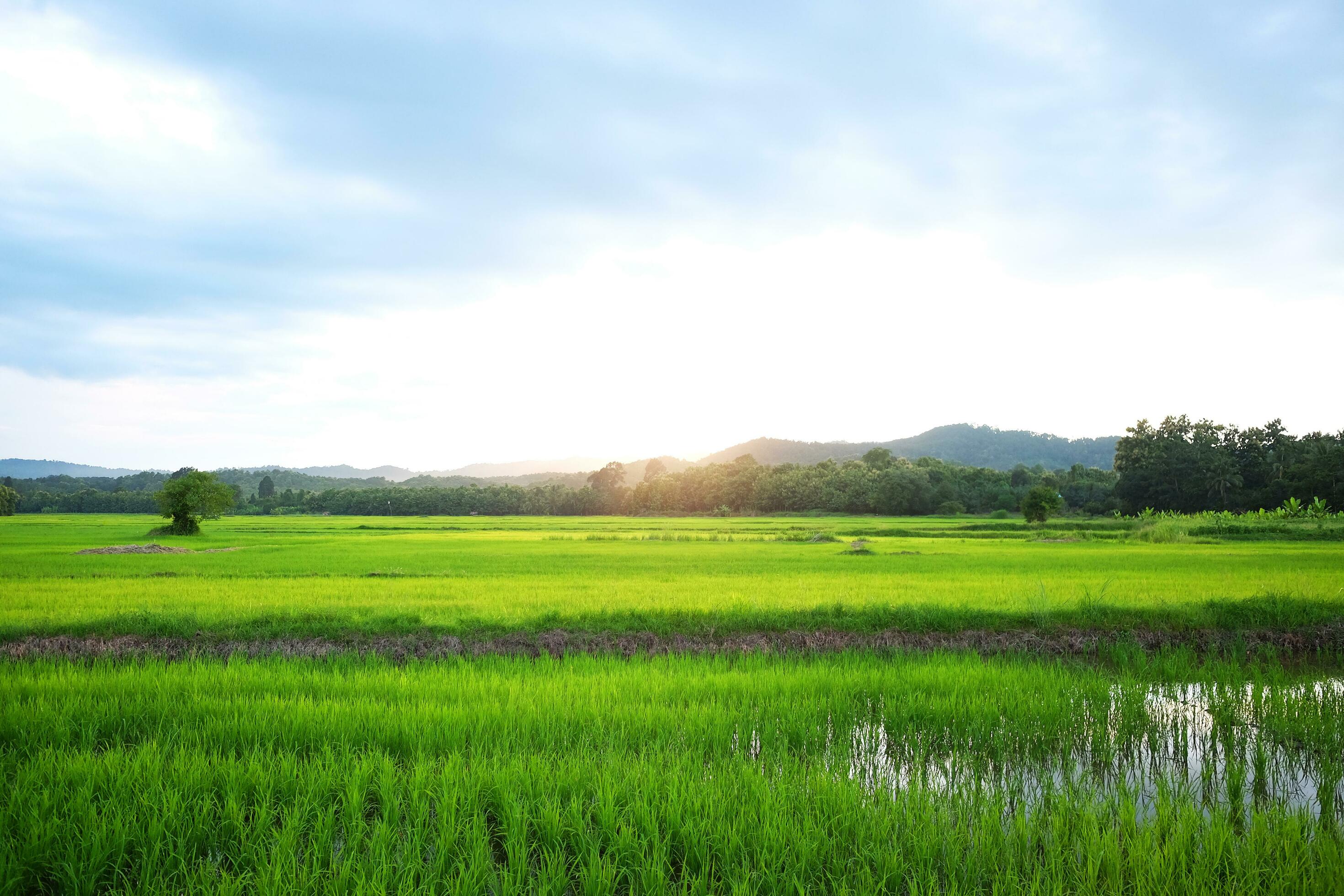 Beautuful landscape greenery of farmland with natural sunshine near valley mountain and destination of sunset in Thailand Stock Free