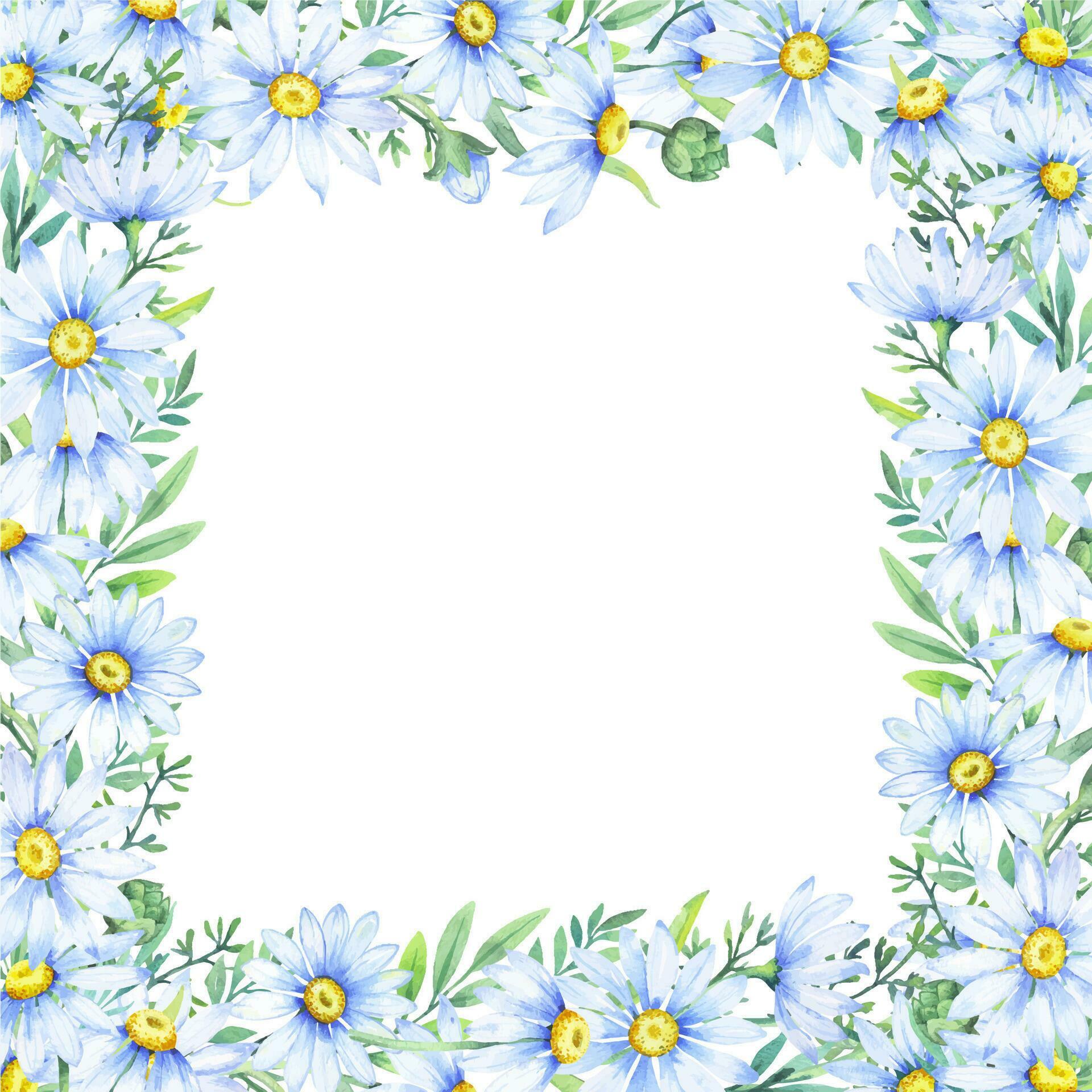 Floral daisy border, watercolor illustration. White daisy. Floral botanical flower. Frame border ornament Stock Free